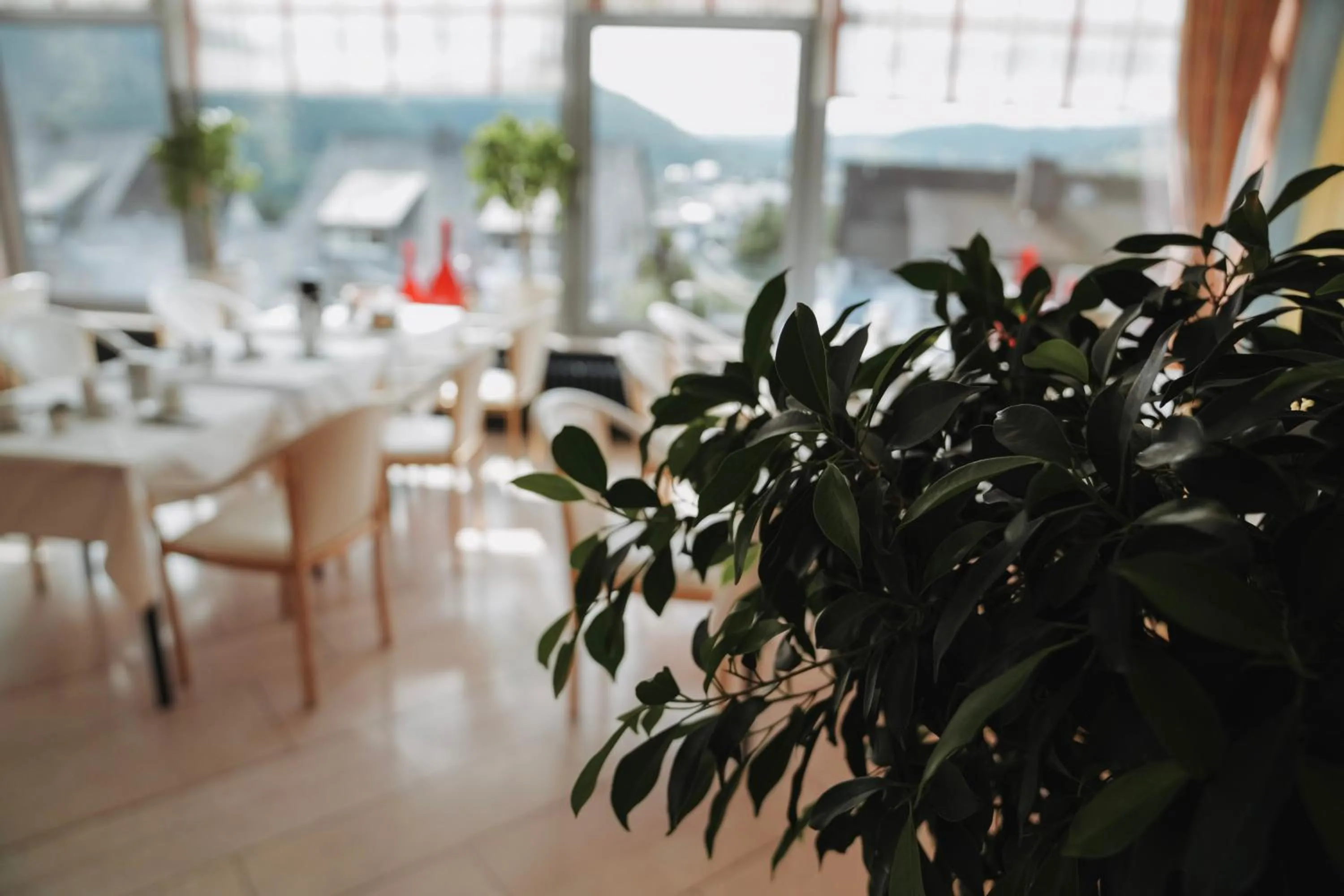 Hotel Hochsauerland 2010