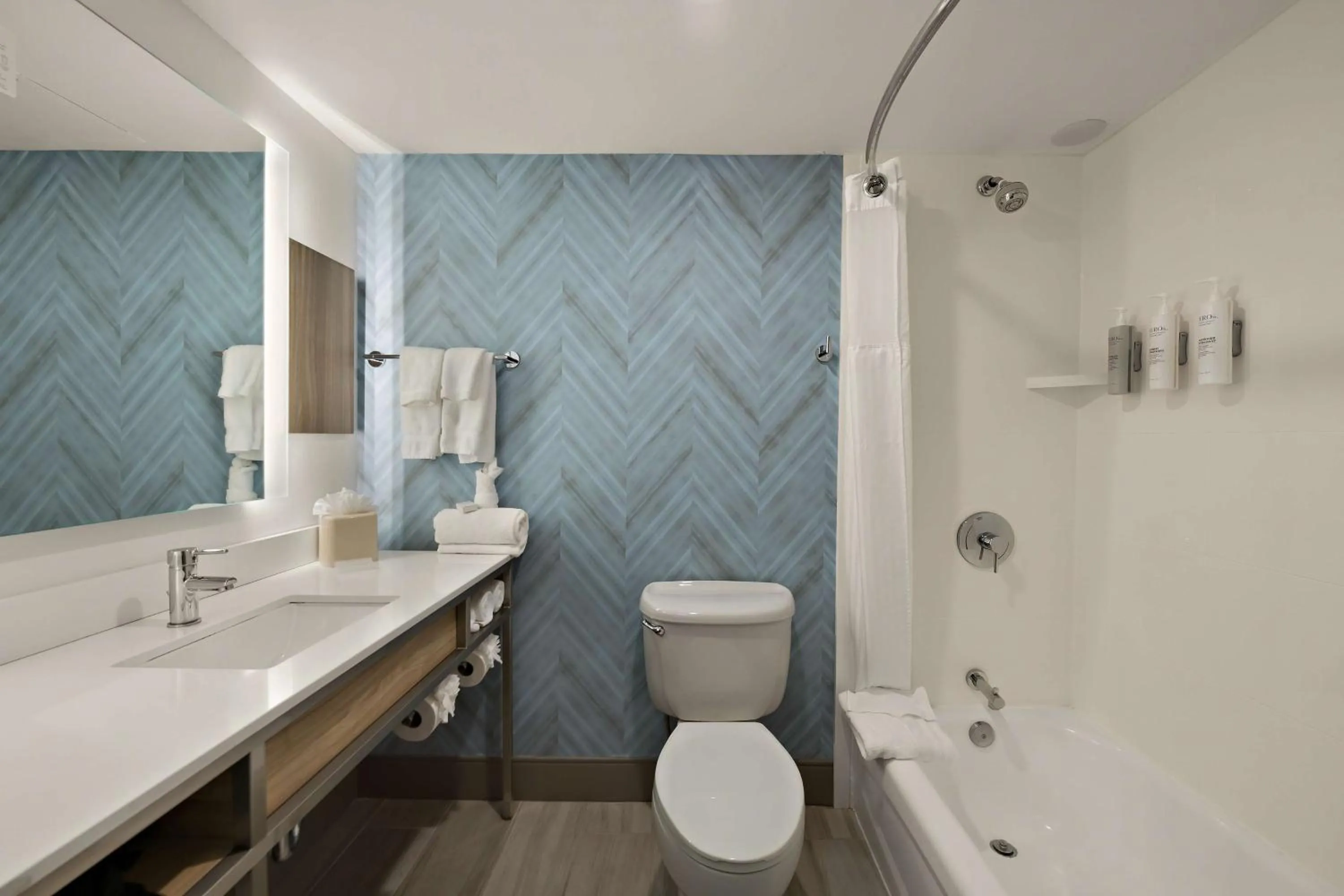 Bathroom in Hilton Garden Inn Williamsburg