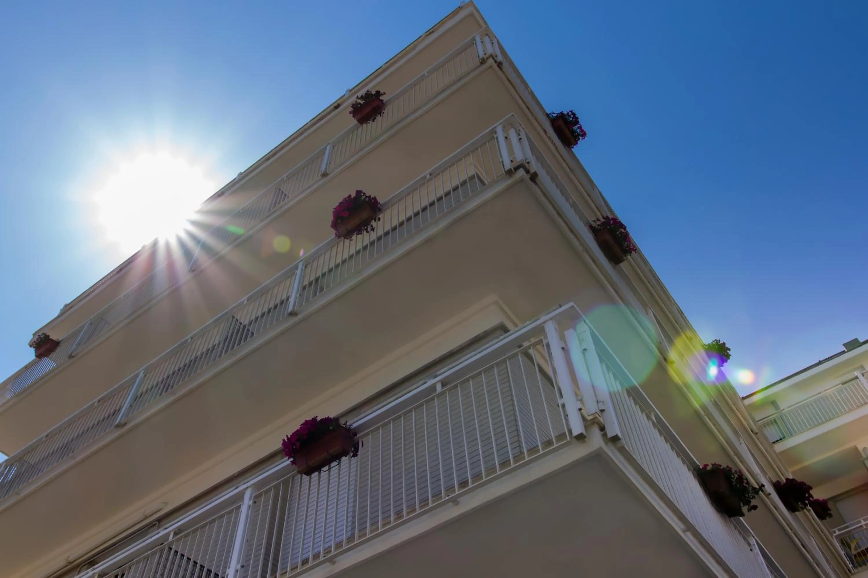 Property building in Hotel President's