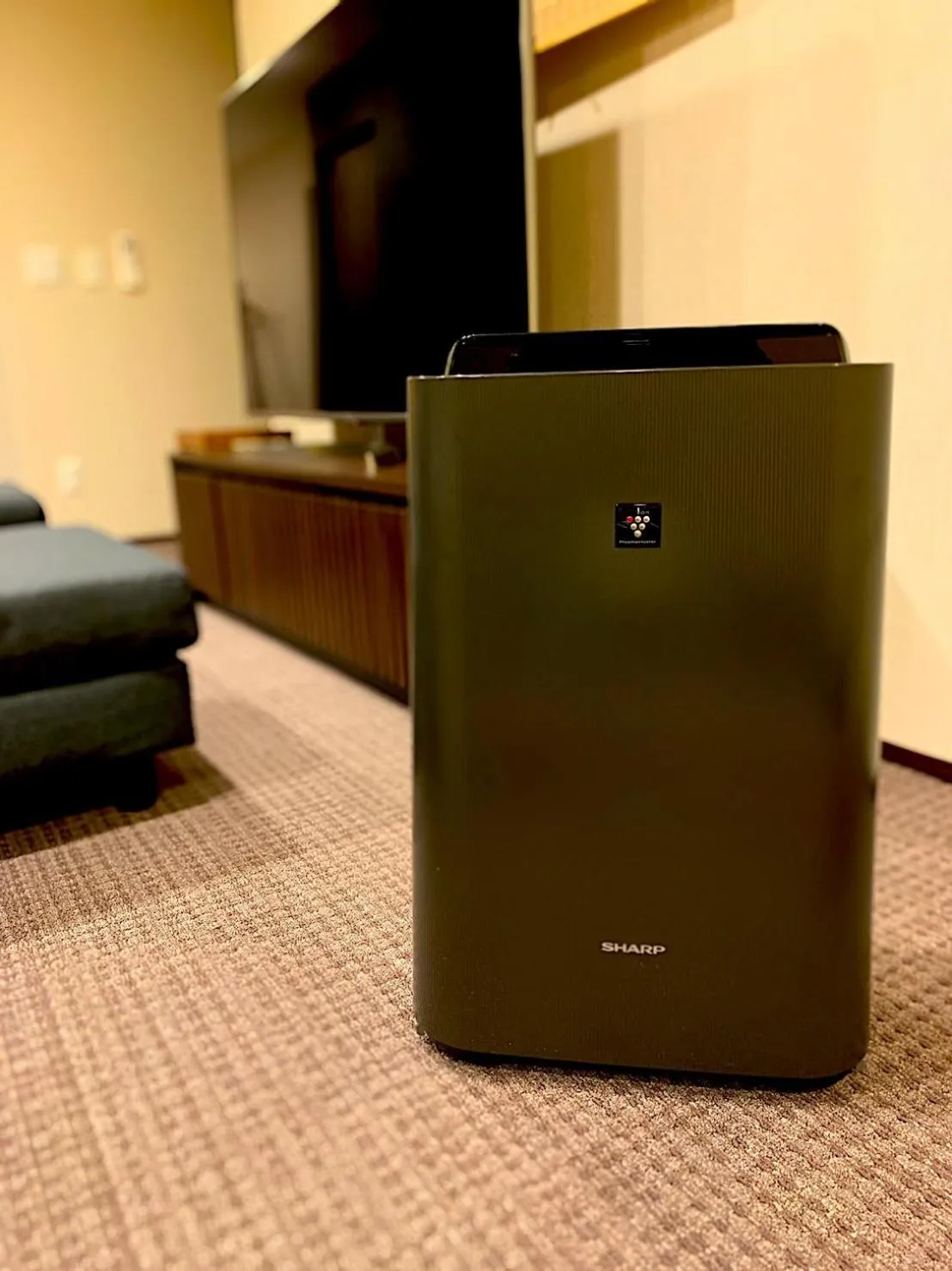 Area and facilities in Randor Residence Susukino Suites