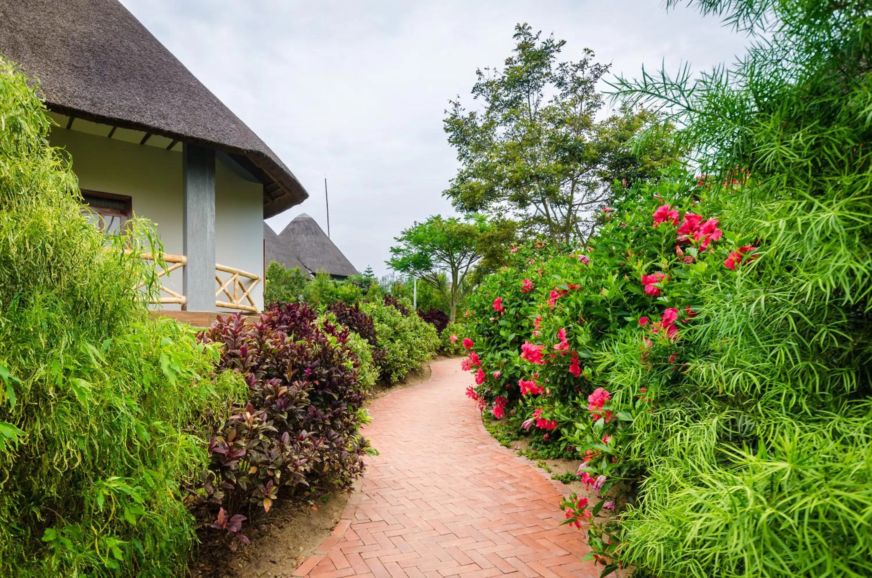 Garden in Emburara Farm Lodge