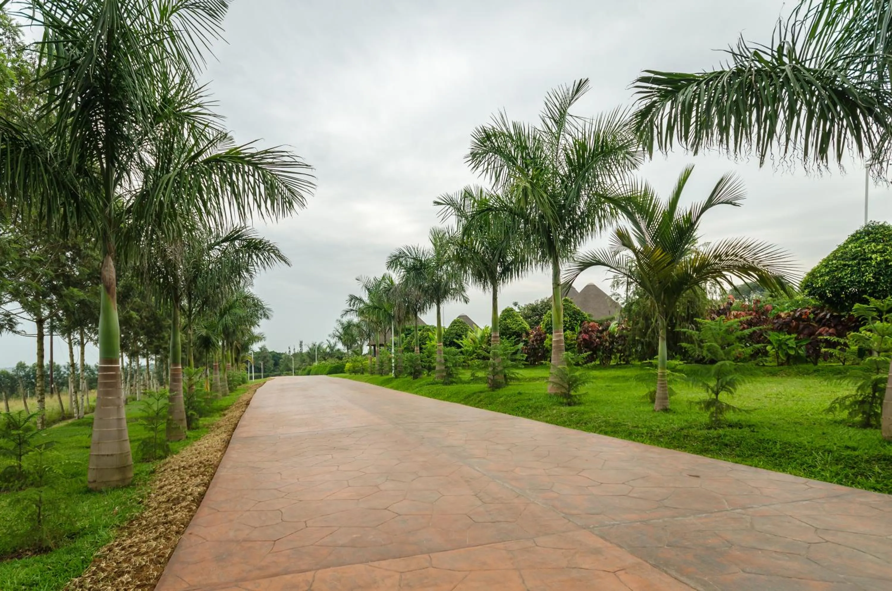Garden view in Emburara Farm Lodge