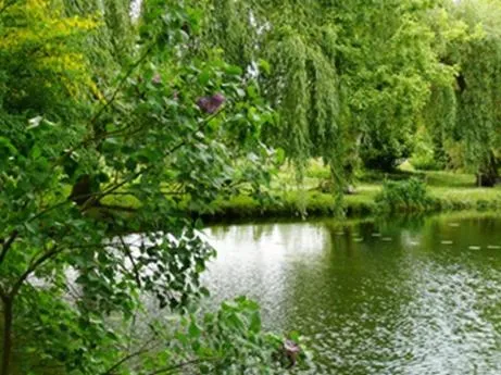 Garden in Manoir de la Peylouse