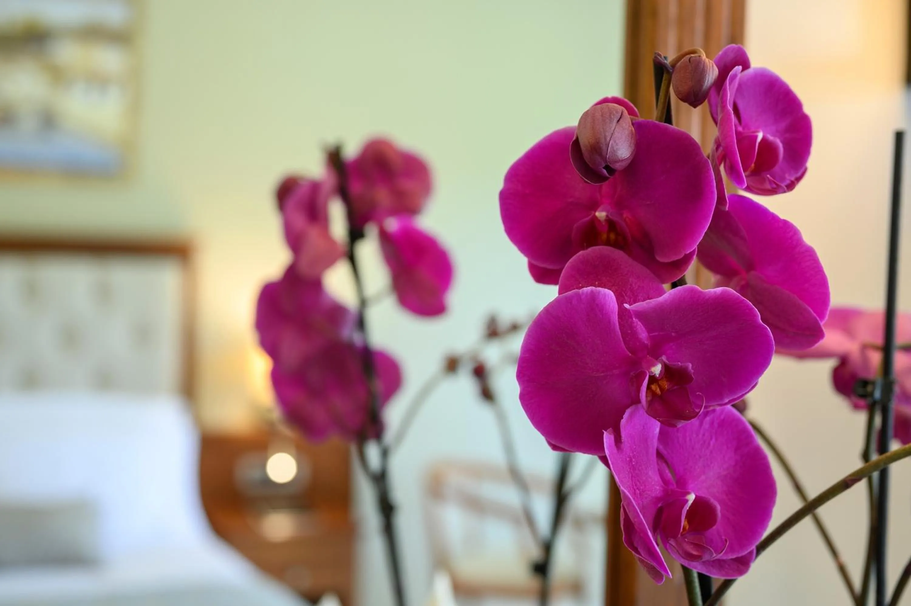 Bed in Vantaris Palace