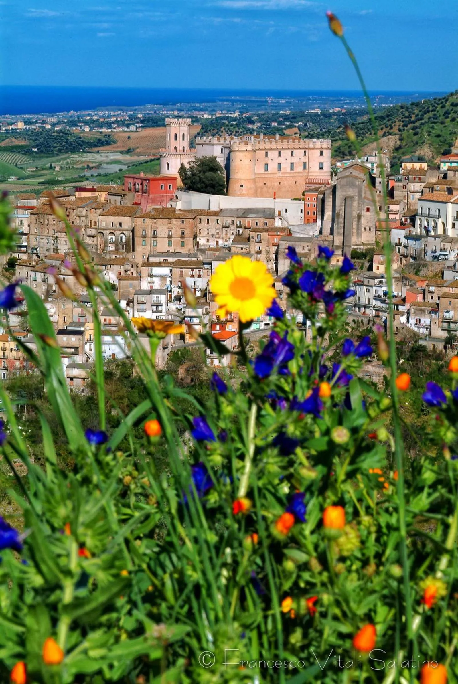 Area and facilities in Il Falco e Il Gabbiano