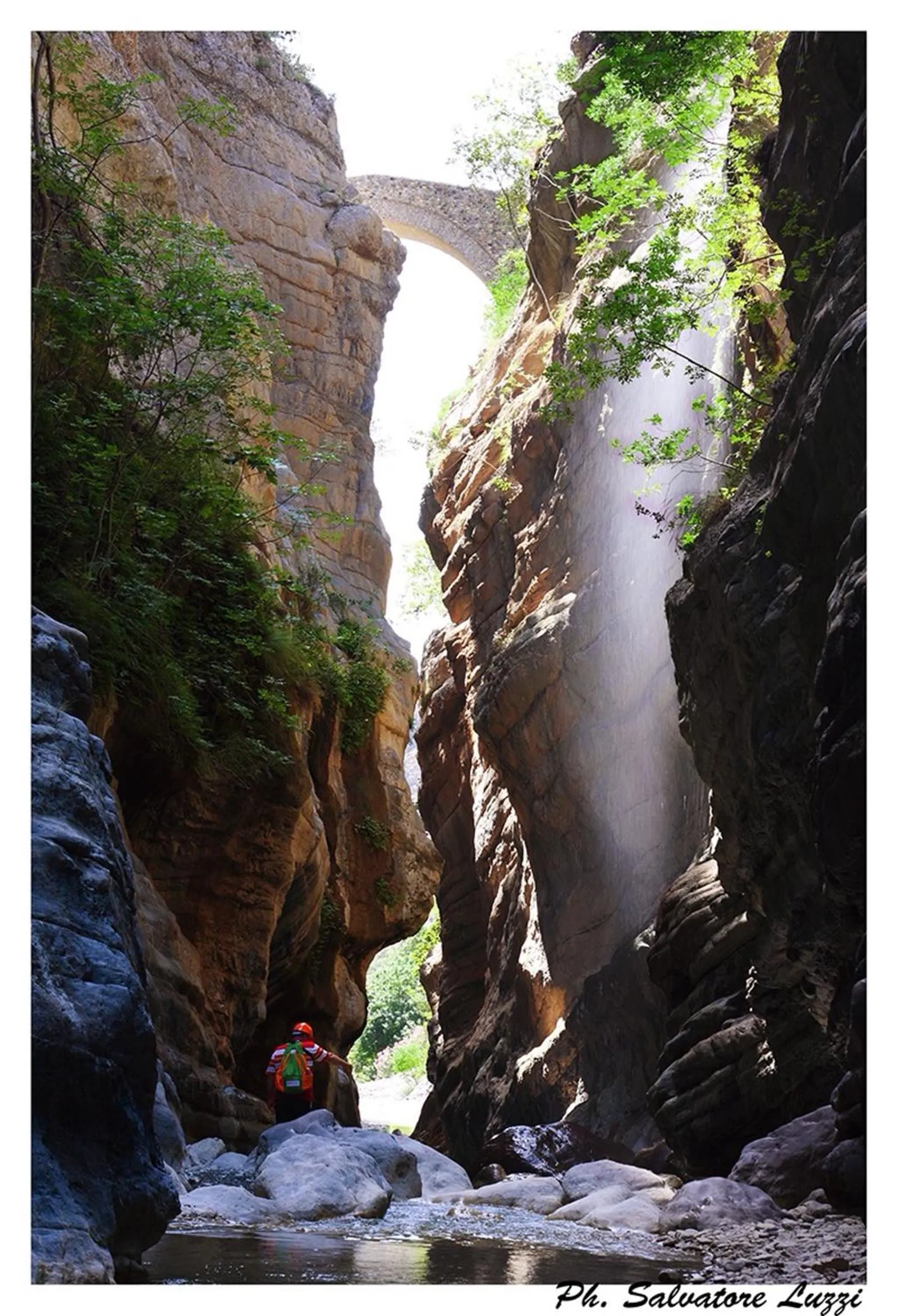 Canoeing in Il Falco e Il Gabbiano