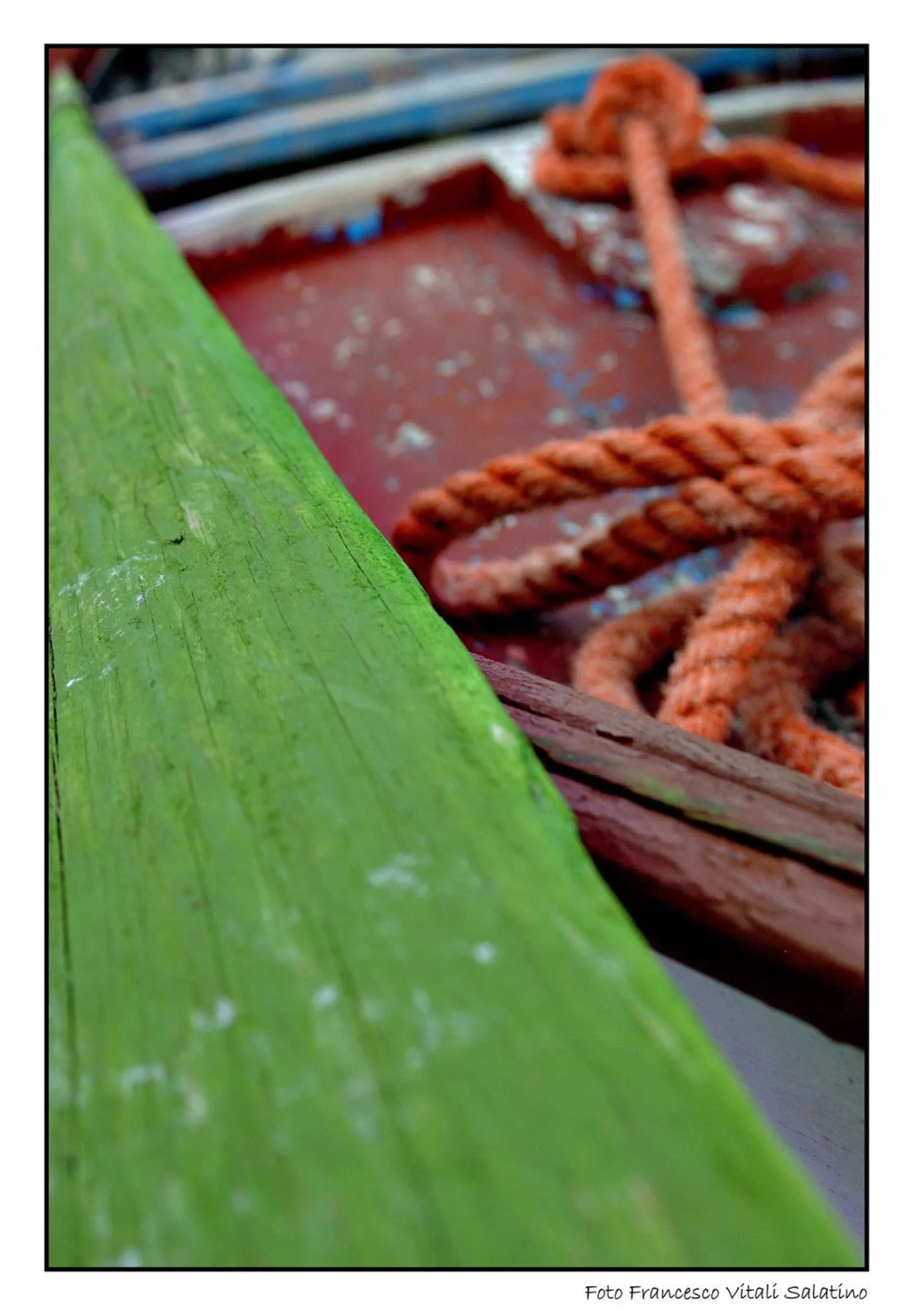 Area and facilities in Il Falco e Il Gabbiano