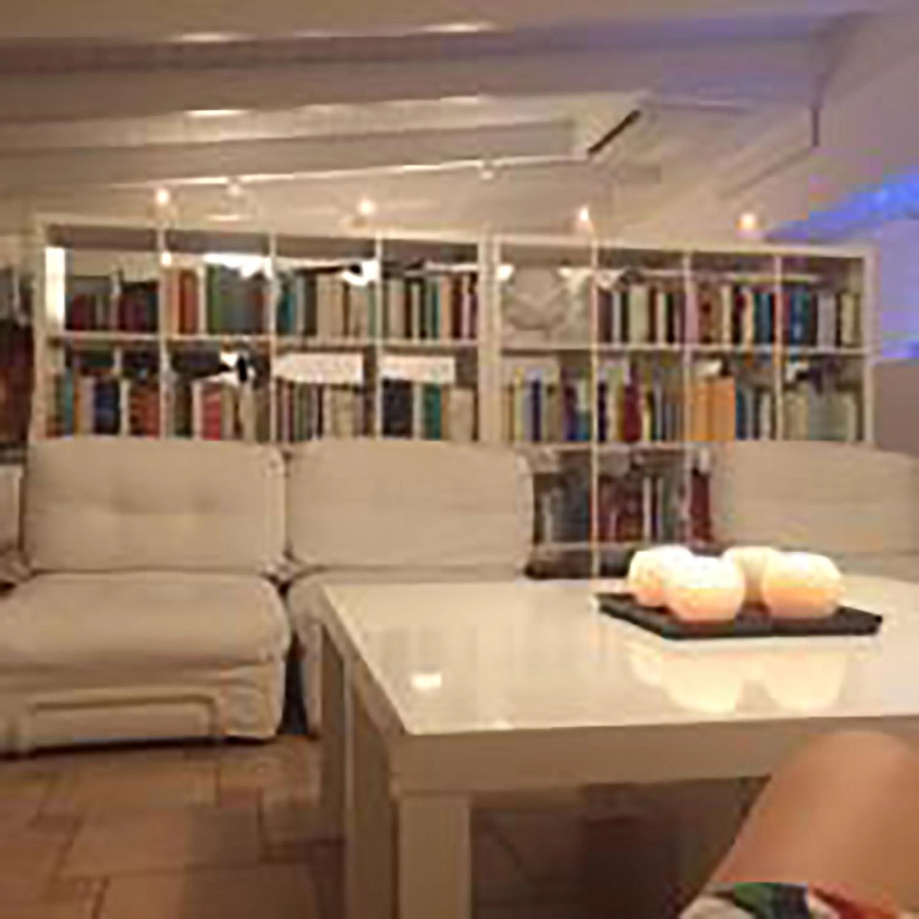 Library in Il Falco e Il Gabbiano