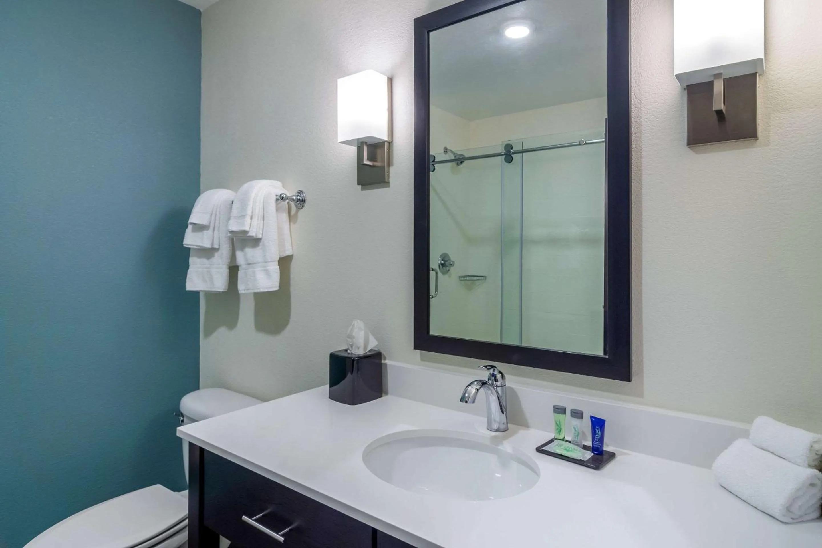 Bathroom in Sleep Inn Newnan Atlanta South