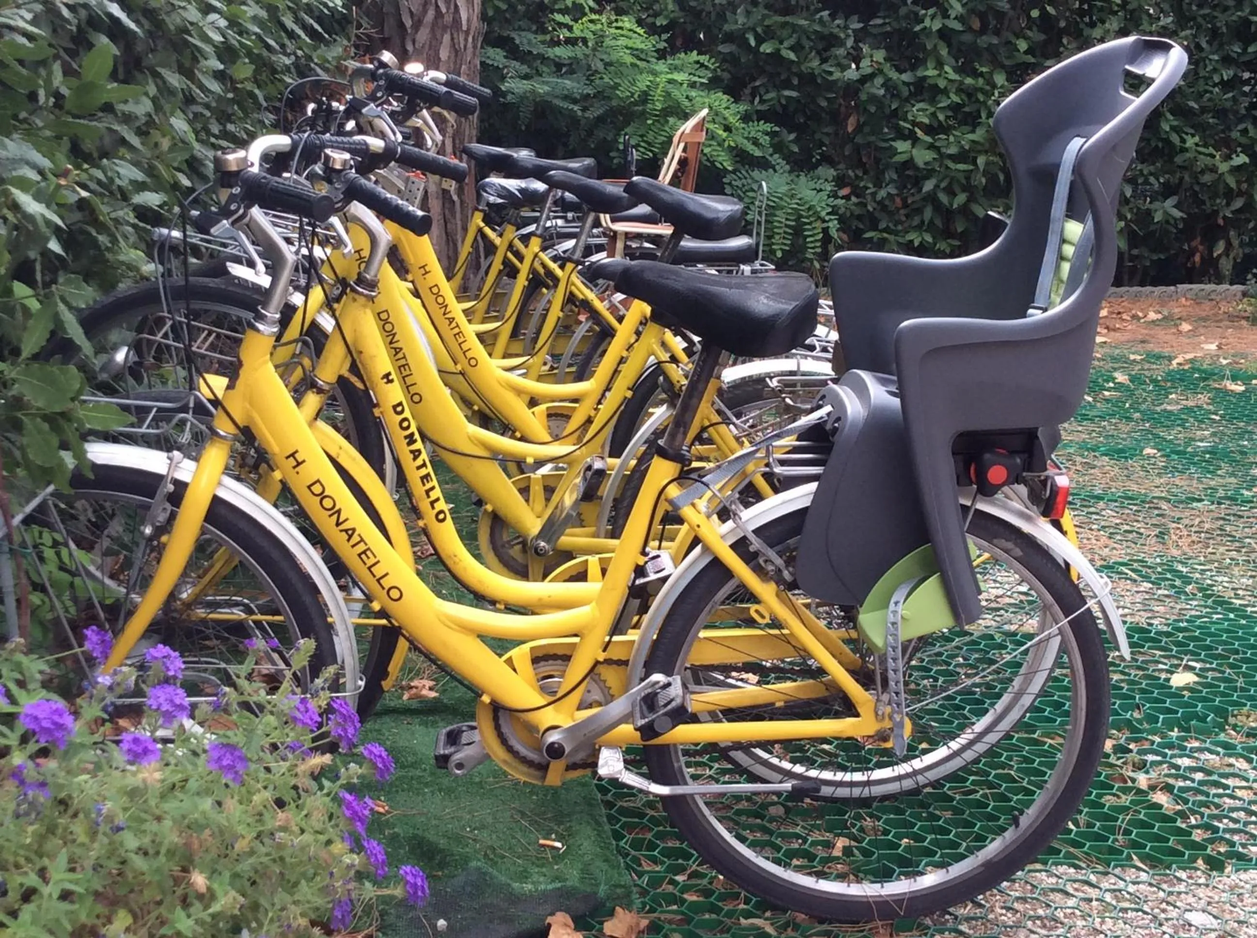 Cycling in Hotel Donatello