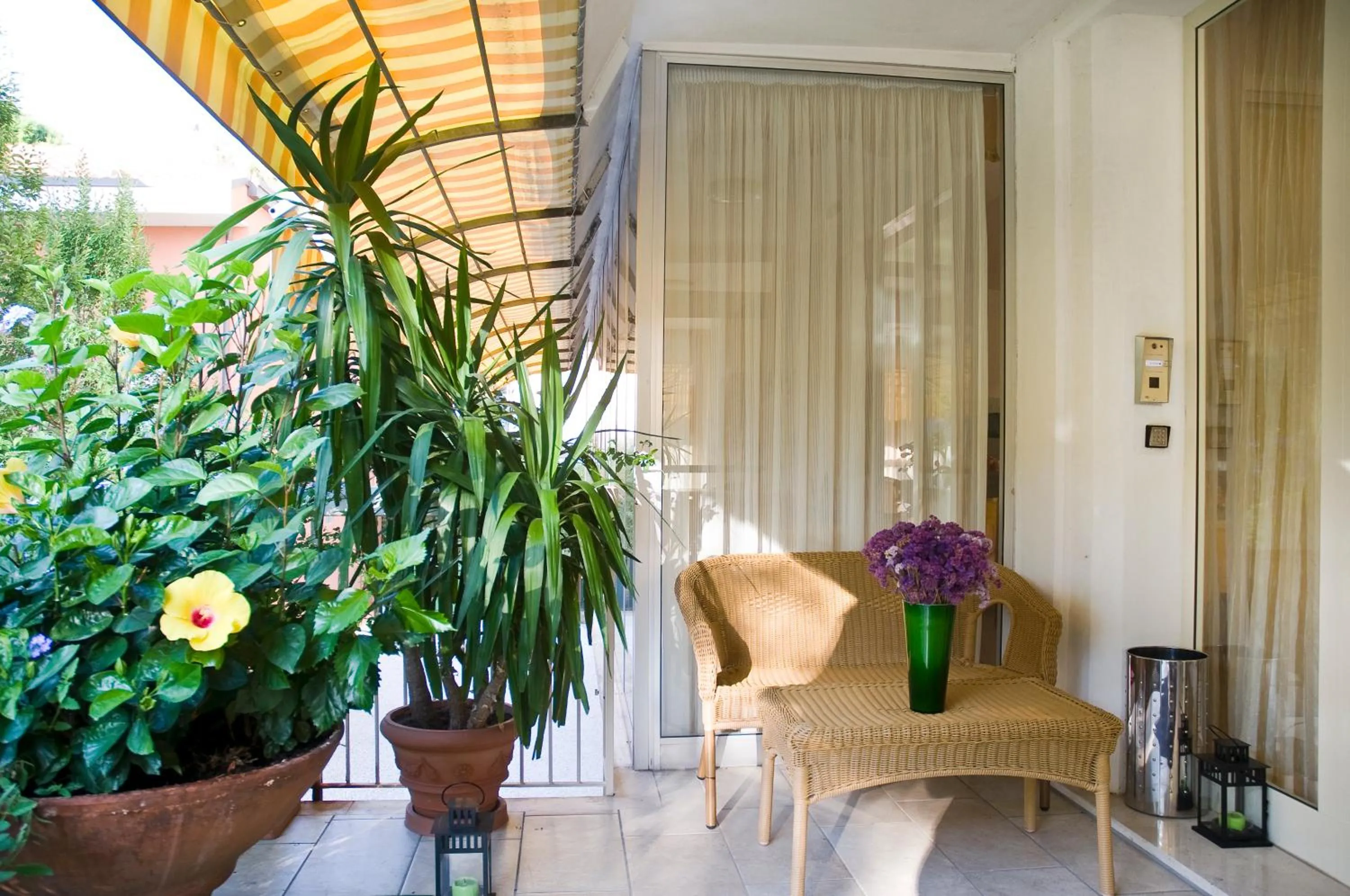 Lobby or reception in Hotel Donatello