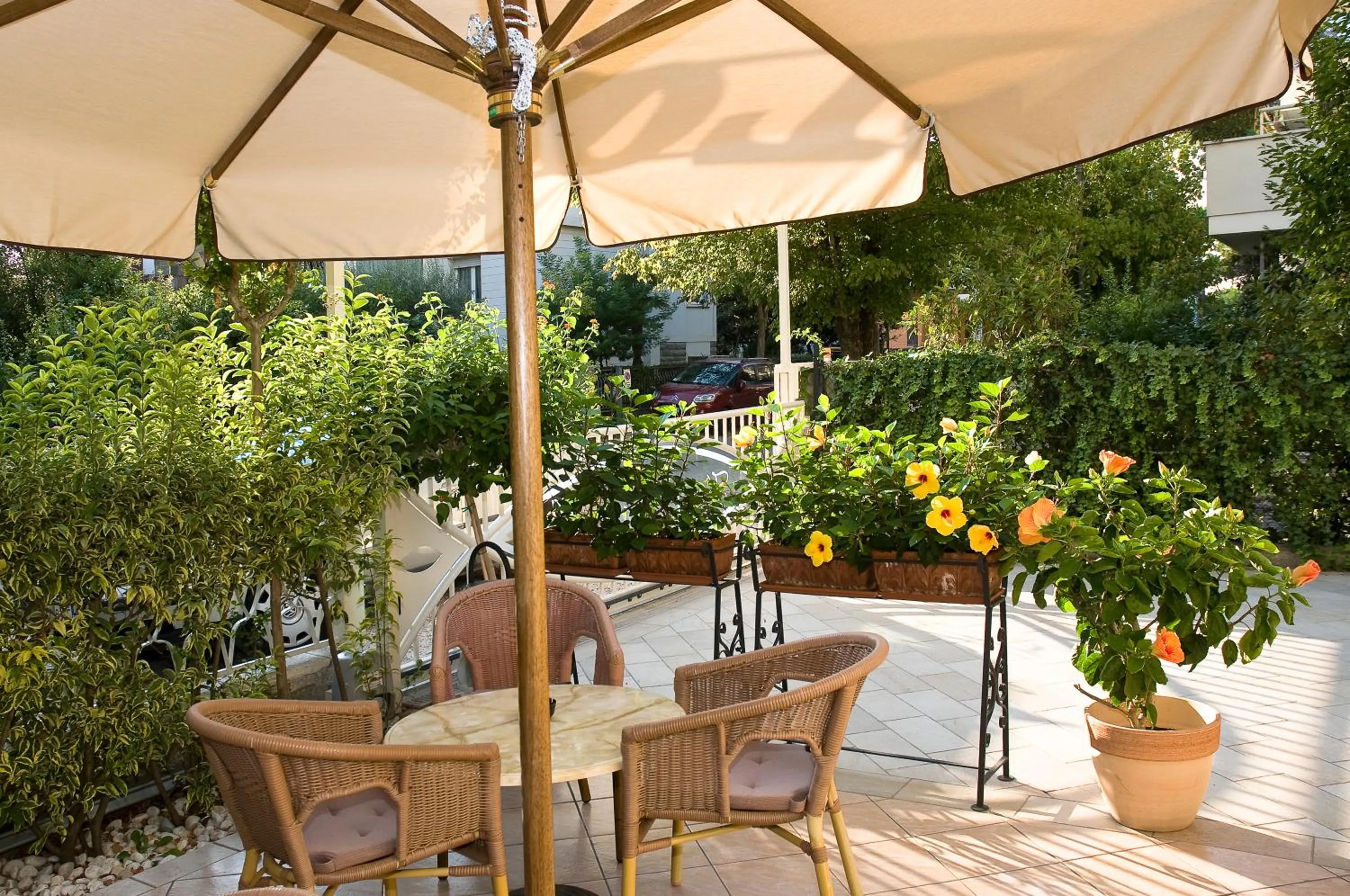 Garden in Hotel Donatello