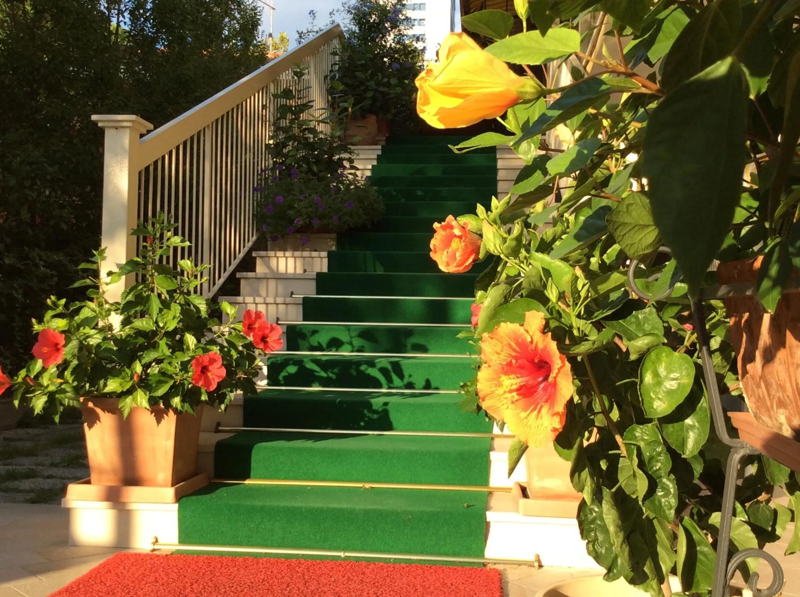 Garden view in Hotel Donatello