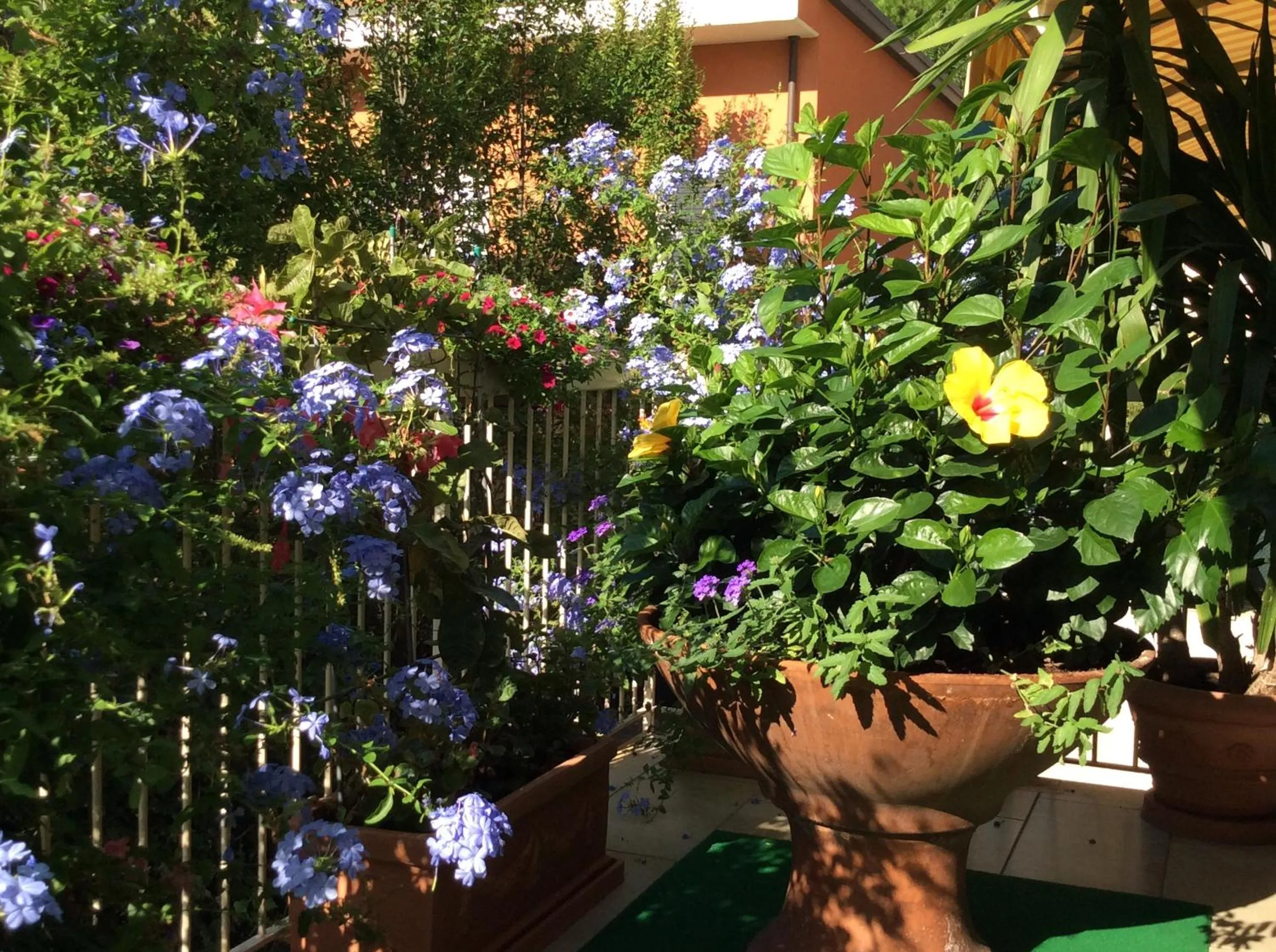 Garden in Hotel Donatello