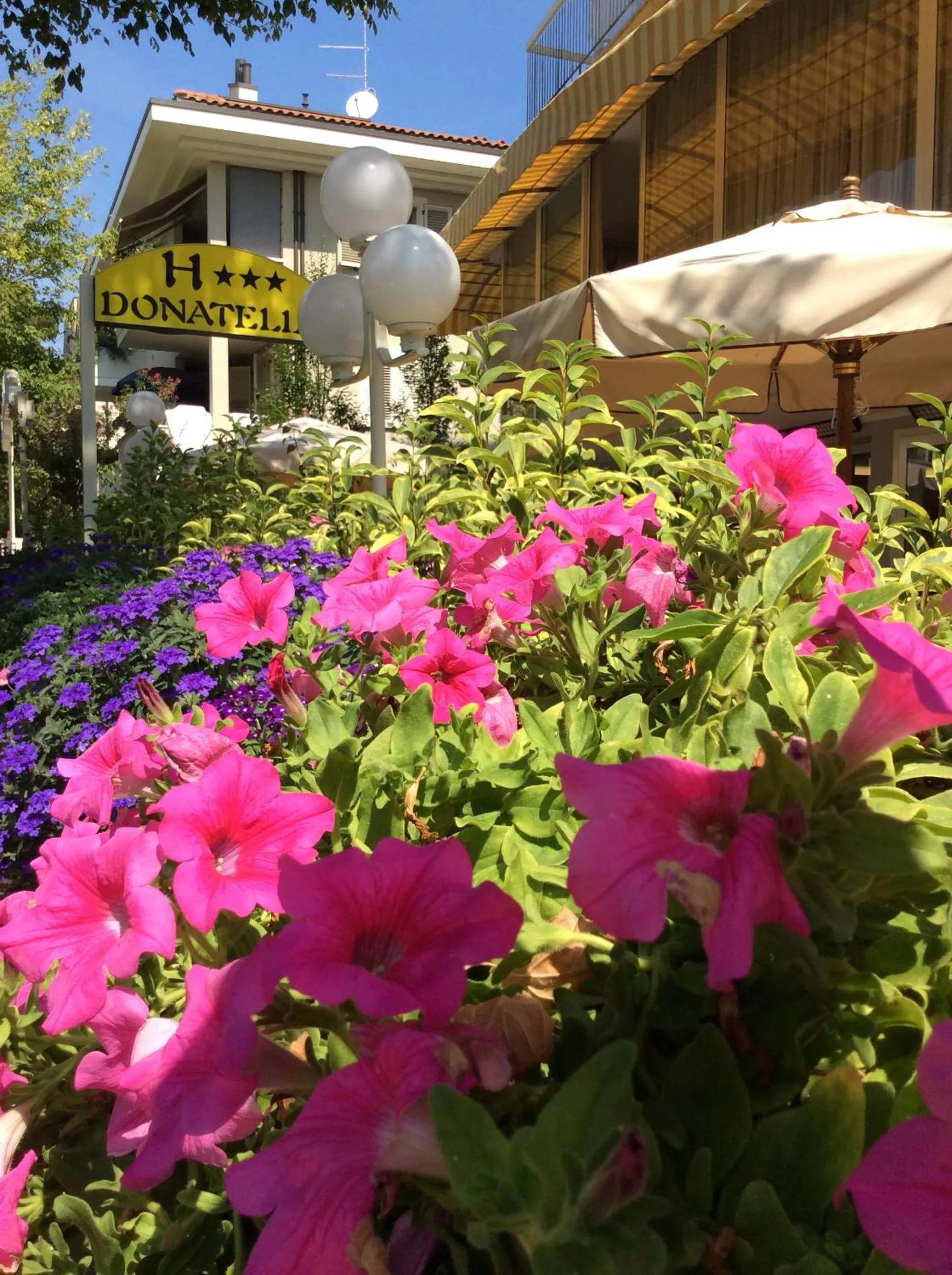 Garden view in Hotel Donatello
