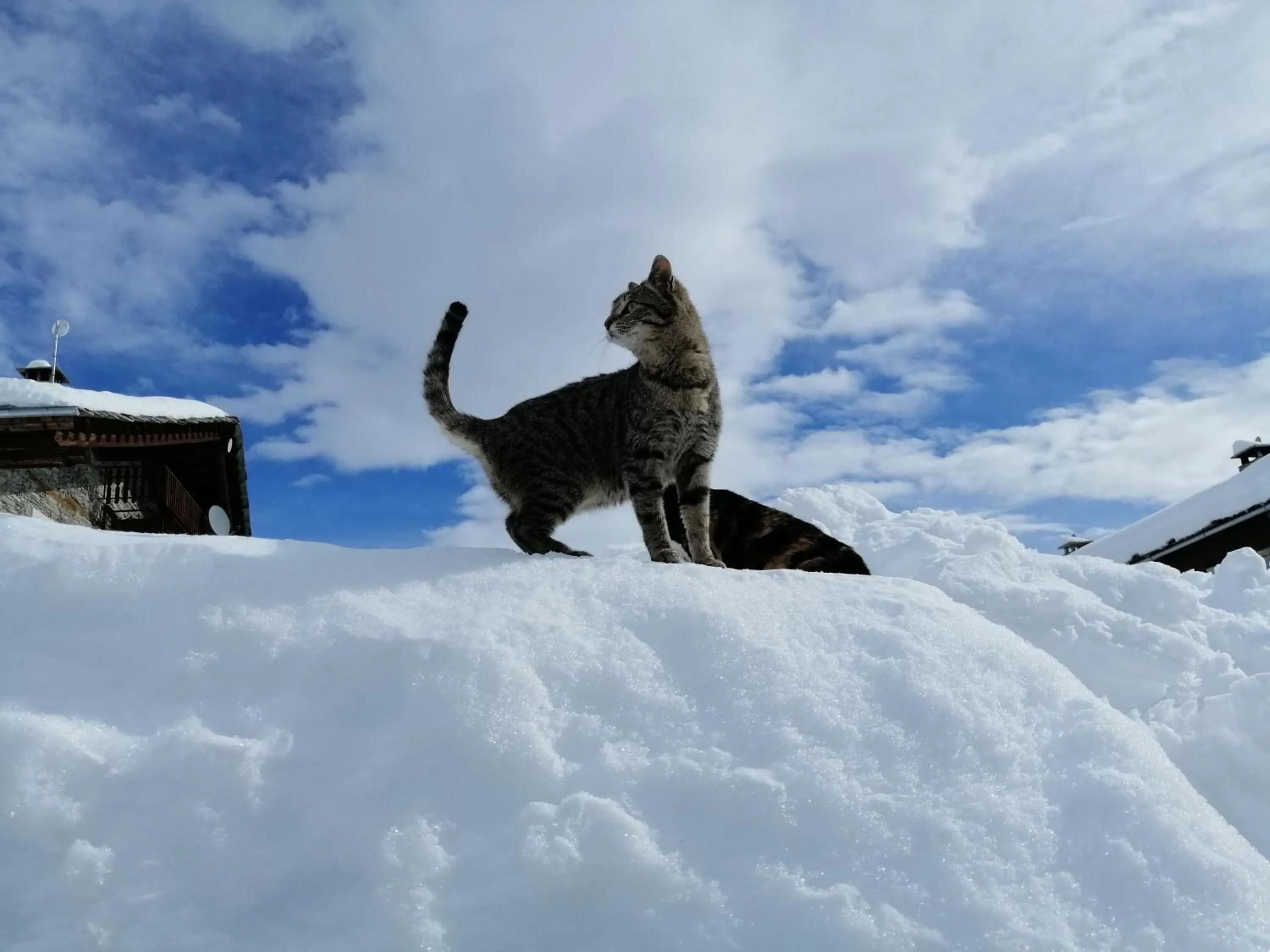 Osteria l'iero d'Eima'