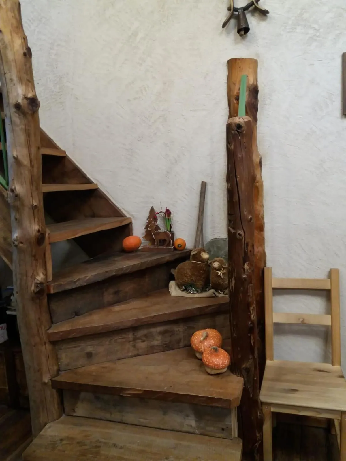 Restaurant/places to eat in Osteria l'iero d'Eima'