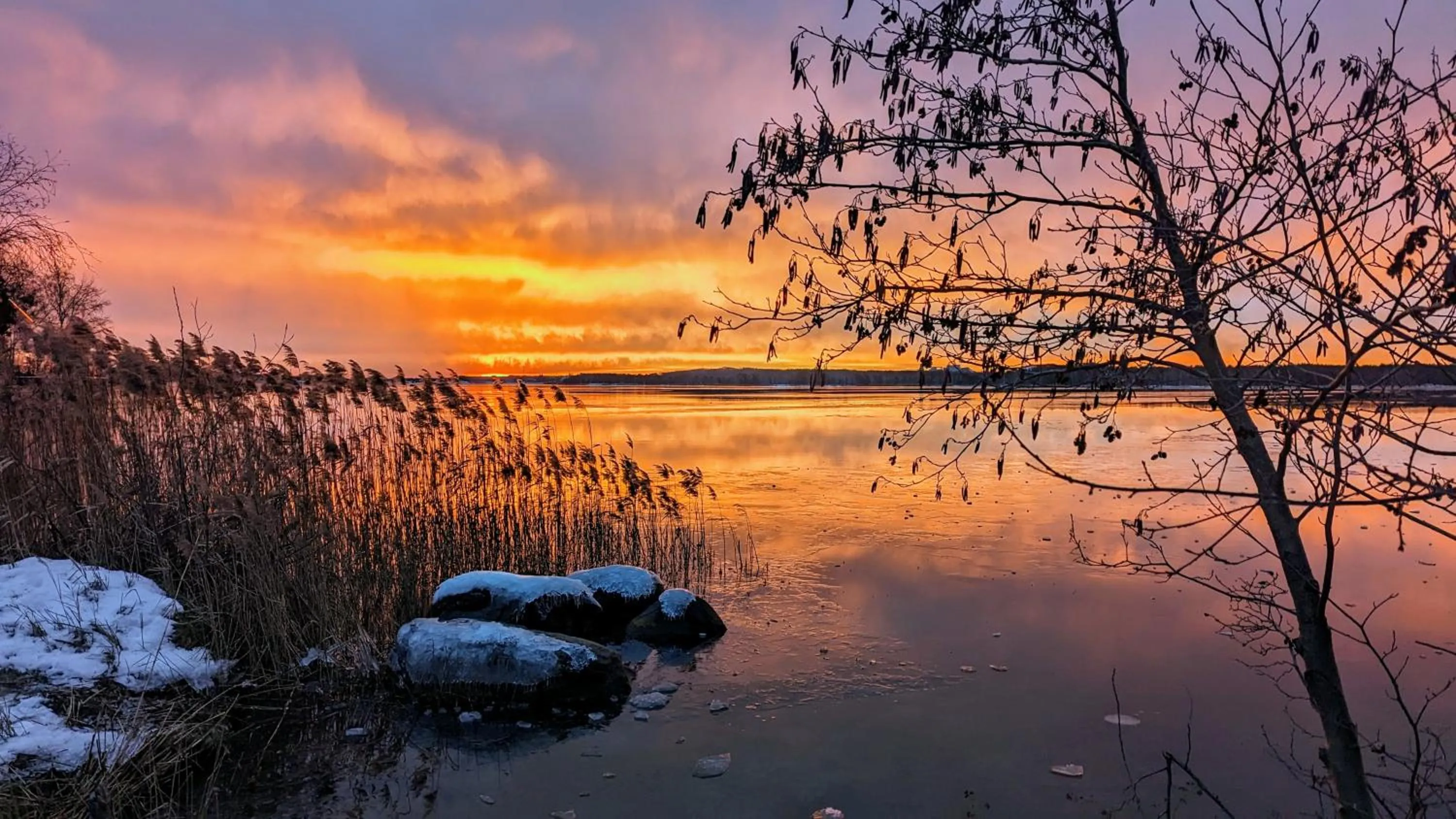 Natural landscape in Wellnesshotel Seeschlößchen - Privat- Spa & Naturresort