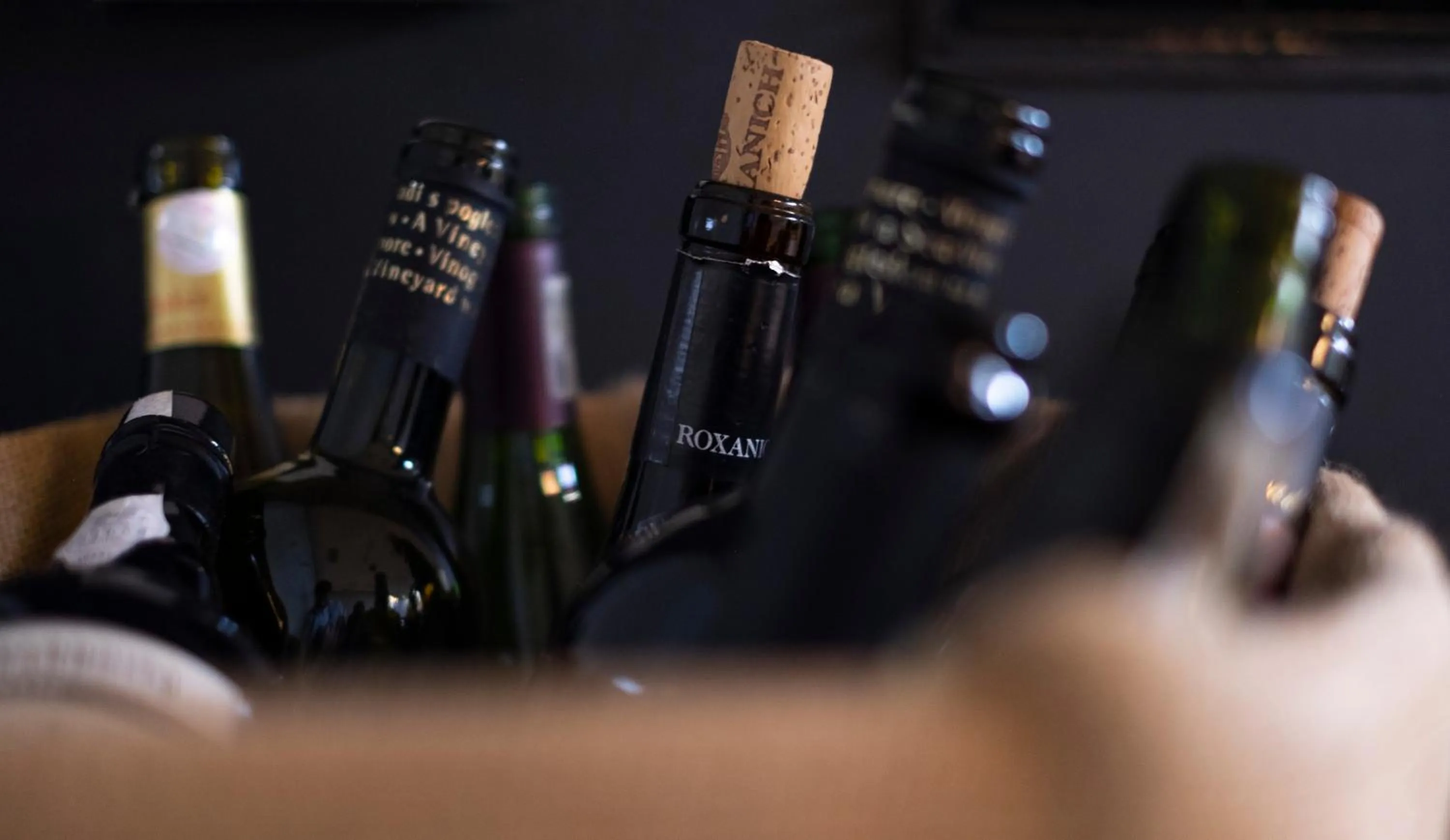 Restaurant/places to eat in Hotel Villa Annette