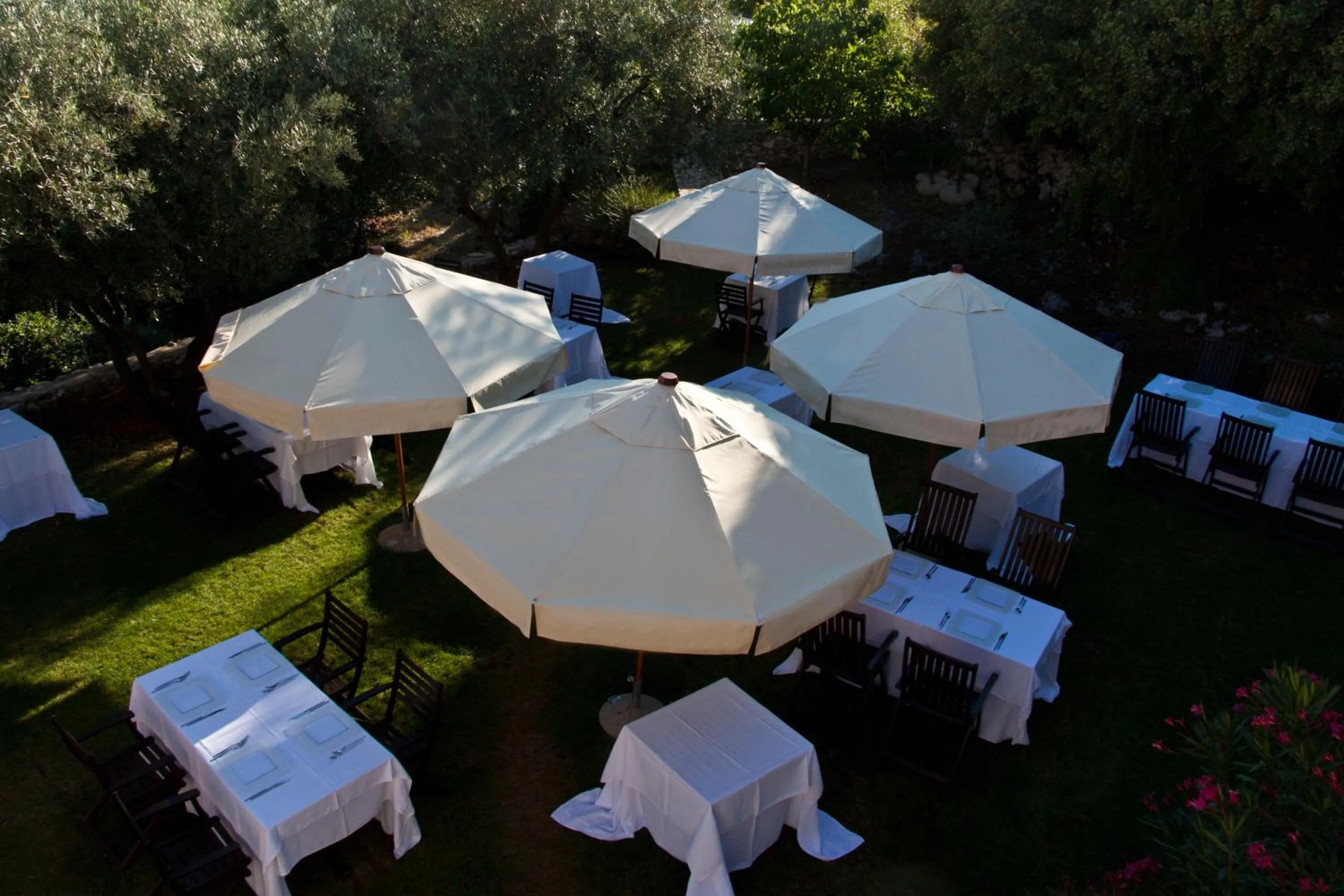 Restaurant/places to eat in Hotel Villa Annette