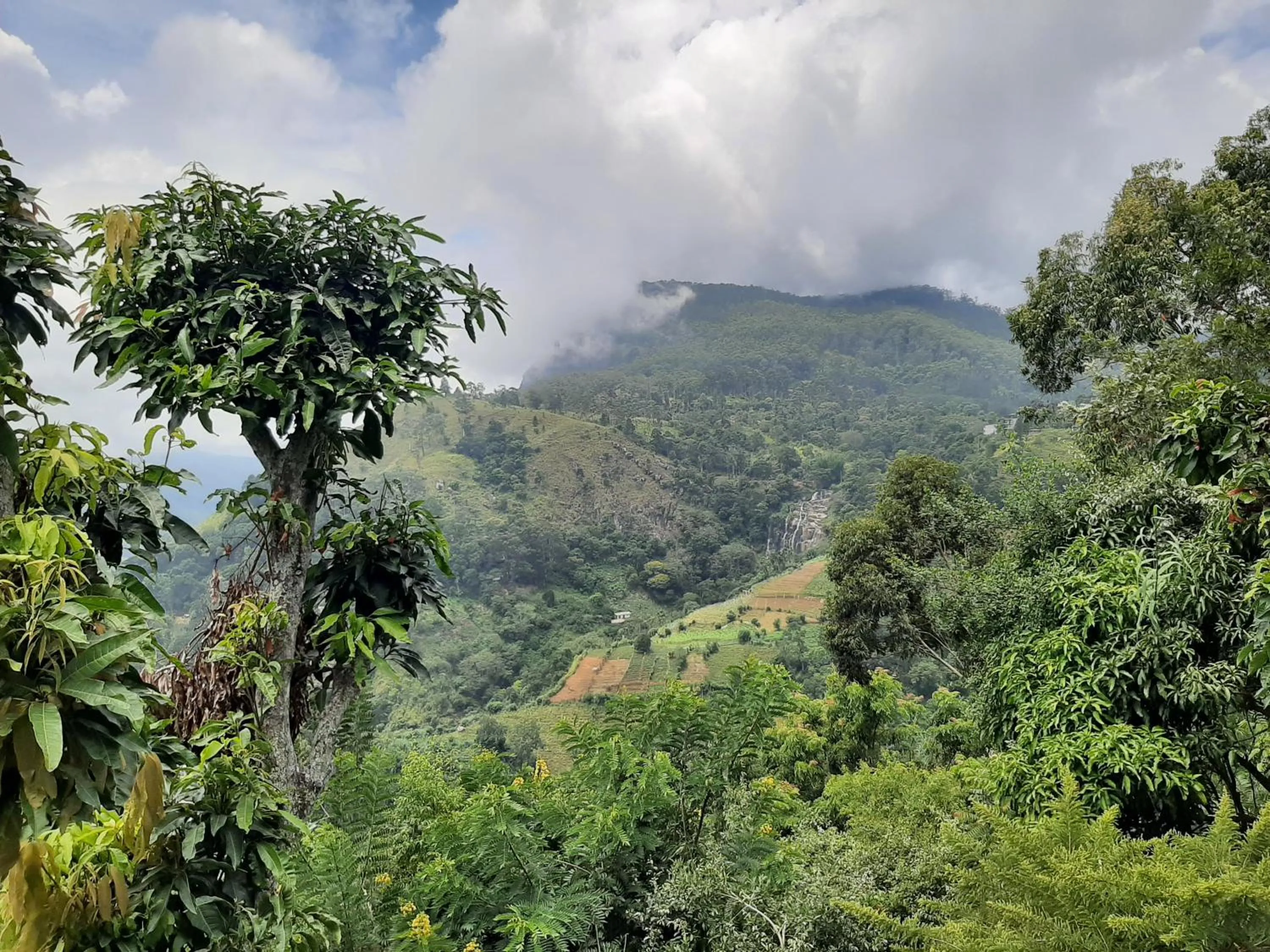 Nearby landmark in Glorious Nature Inn