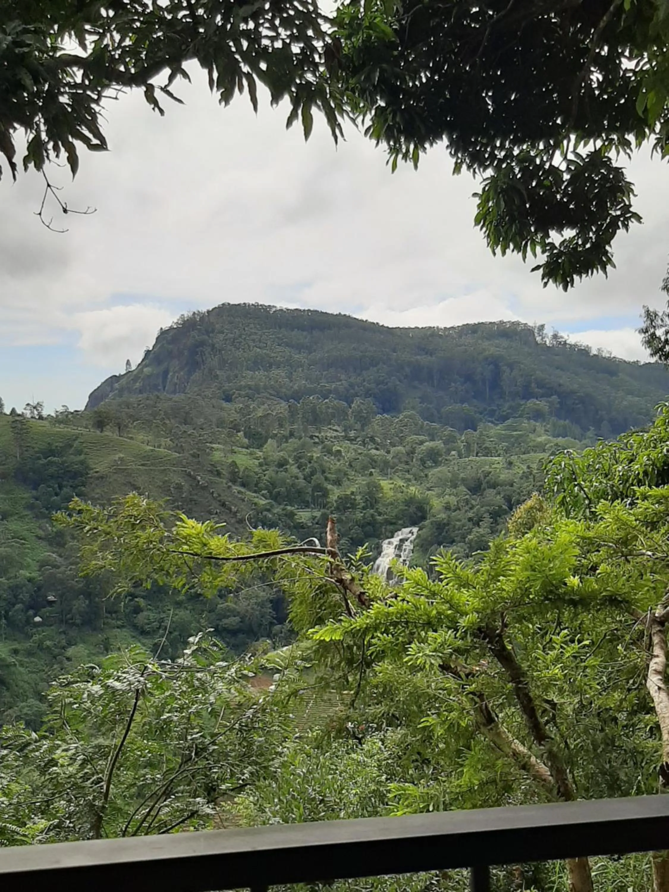 Natural landscape in Glorious Nature Inn