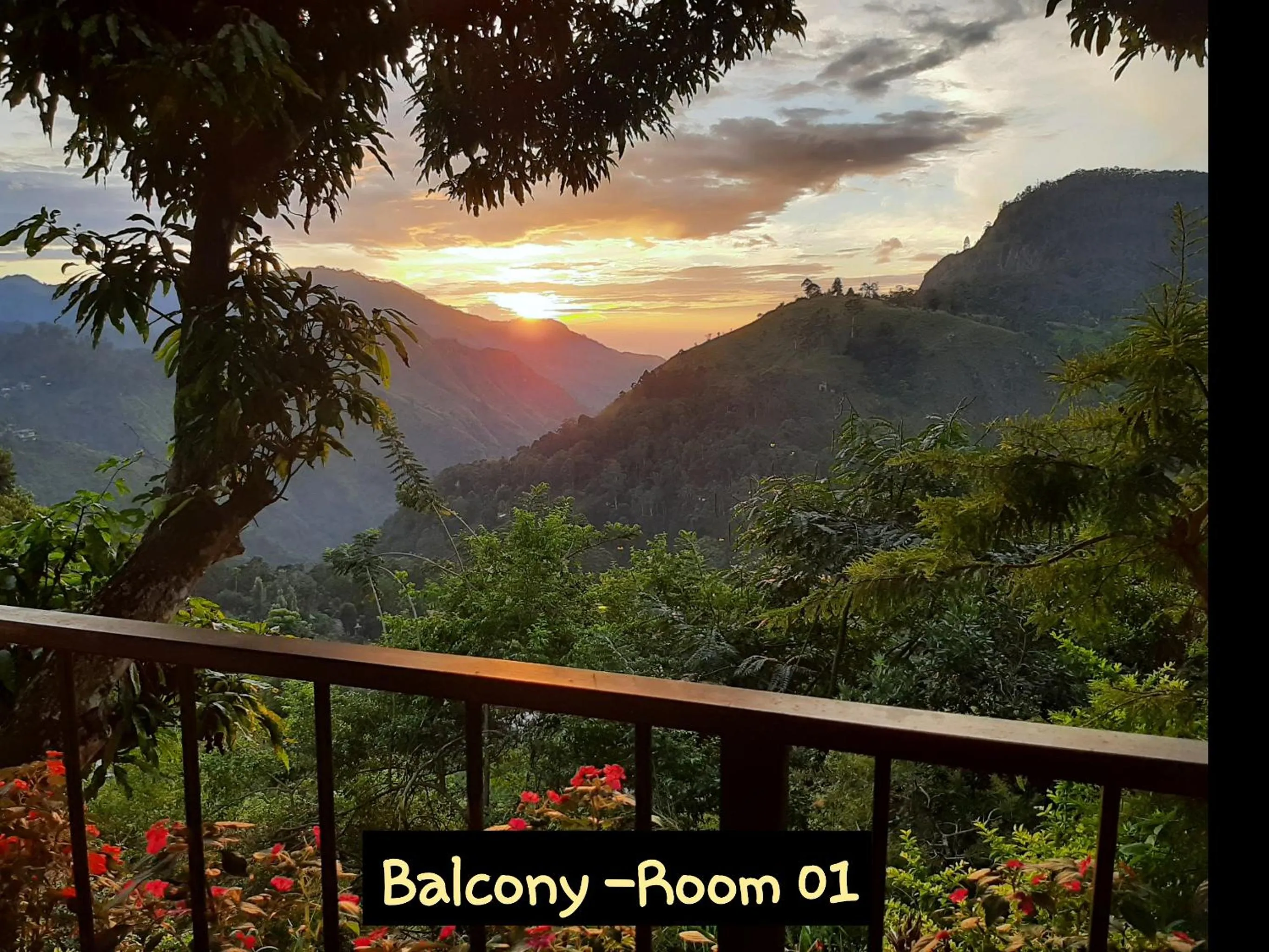 Balcony/Terrace in Glorious Nature Inn