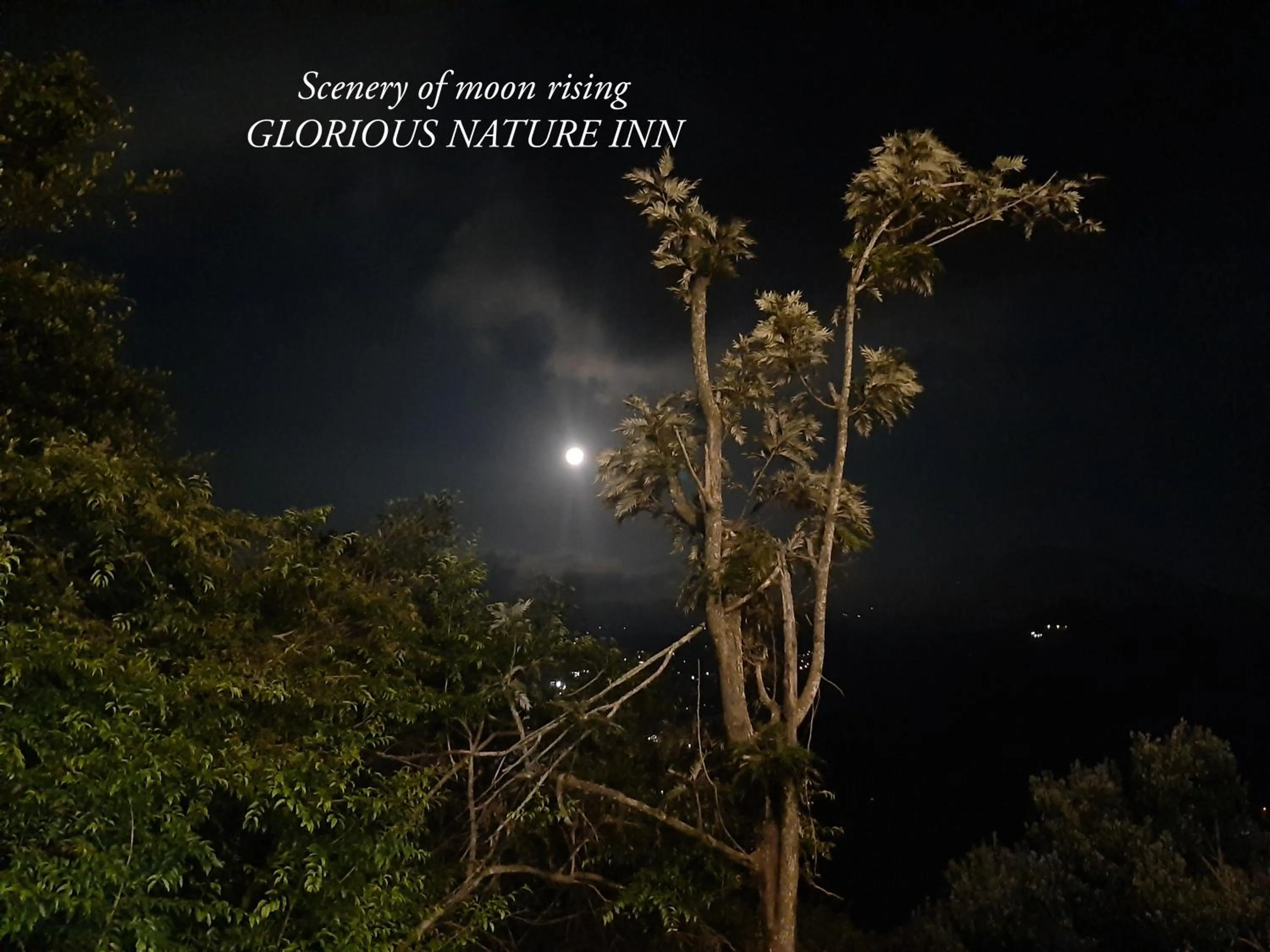 Night in Glorious Nature Inn