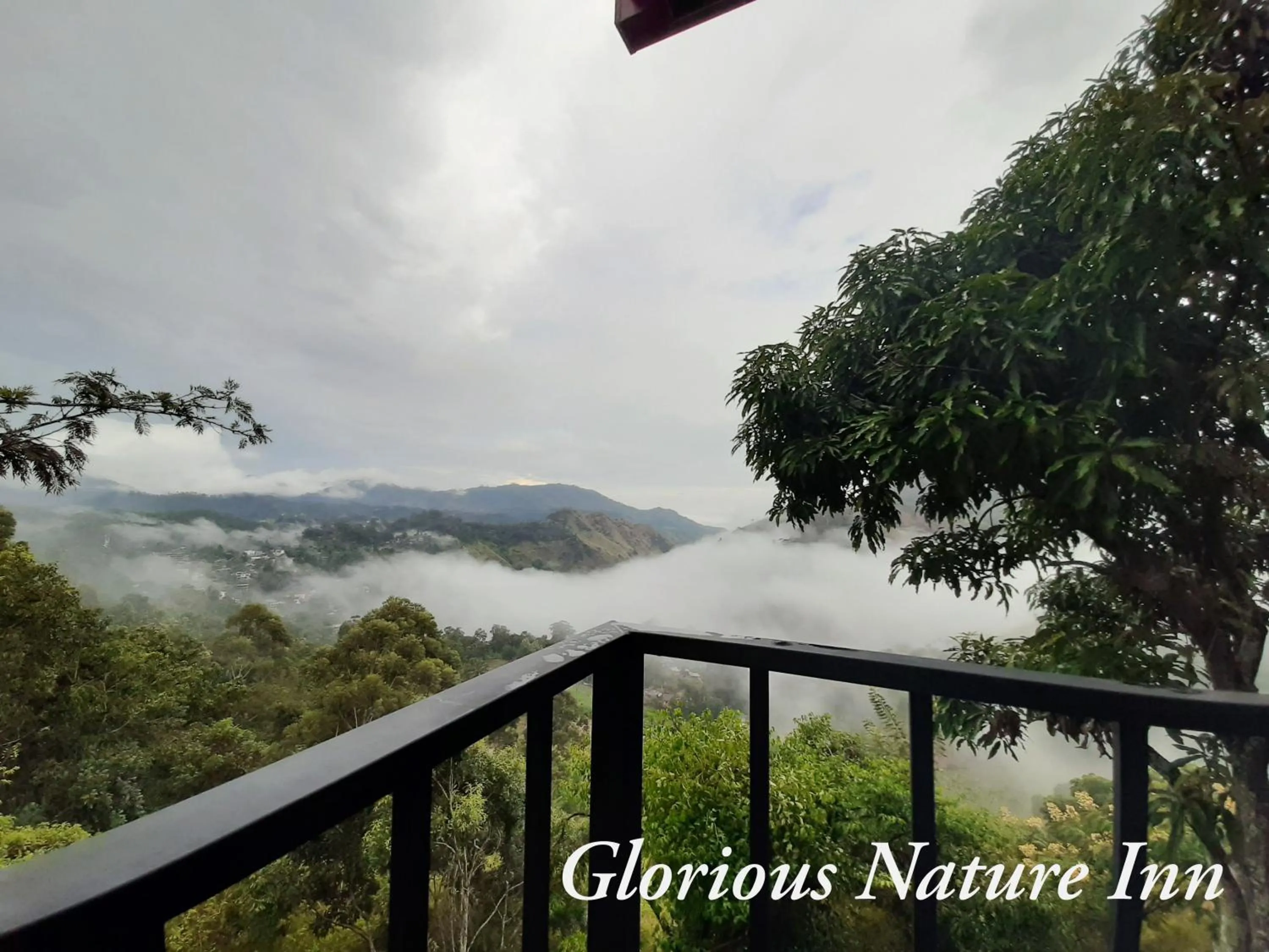 Balcony/Terrace in Glorious Nature Inn