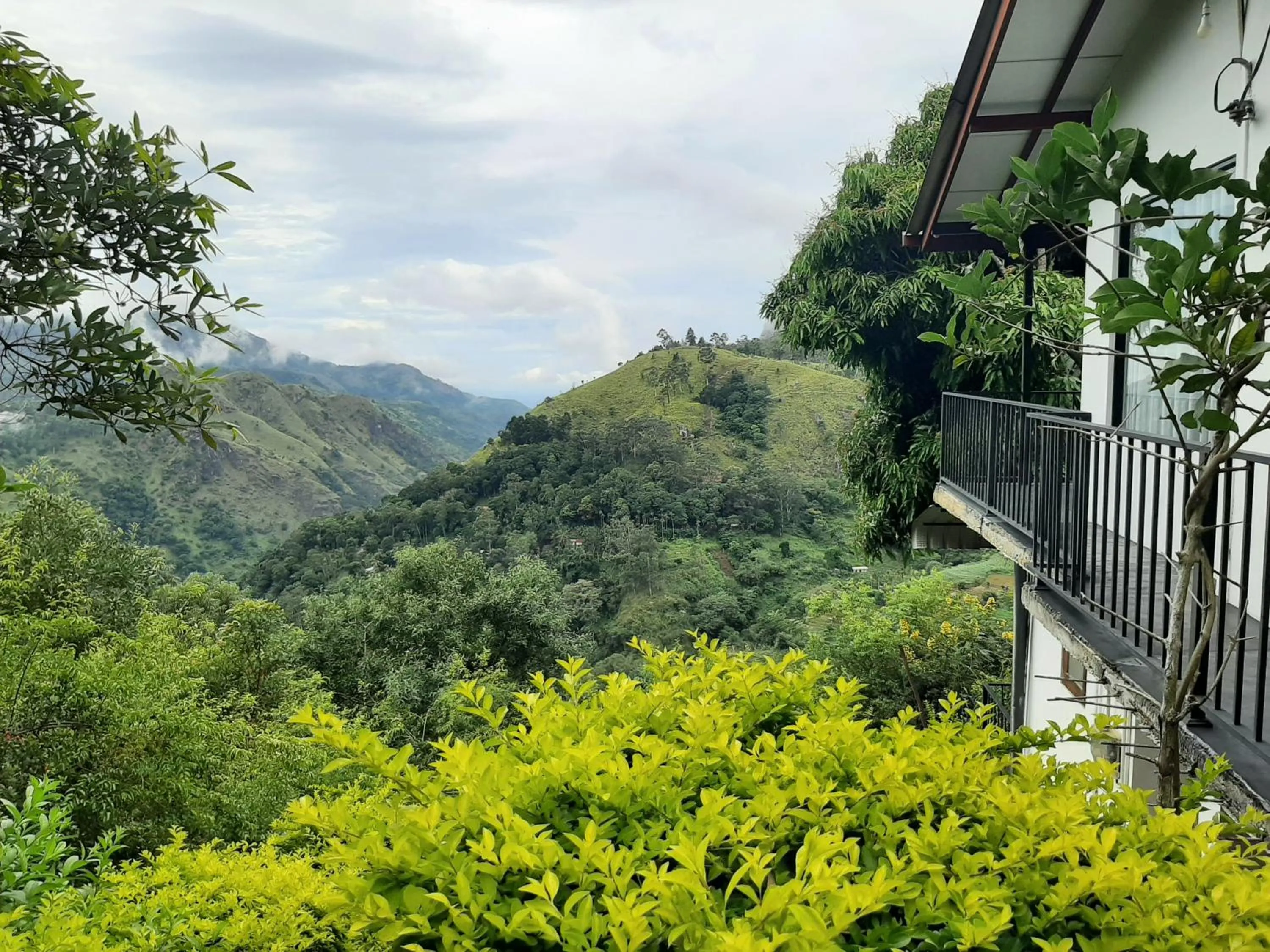 Day in Glorious Nature Inn