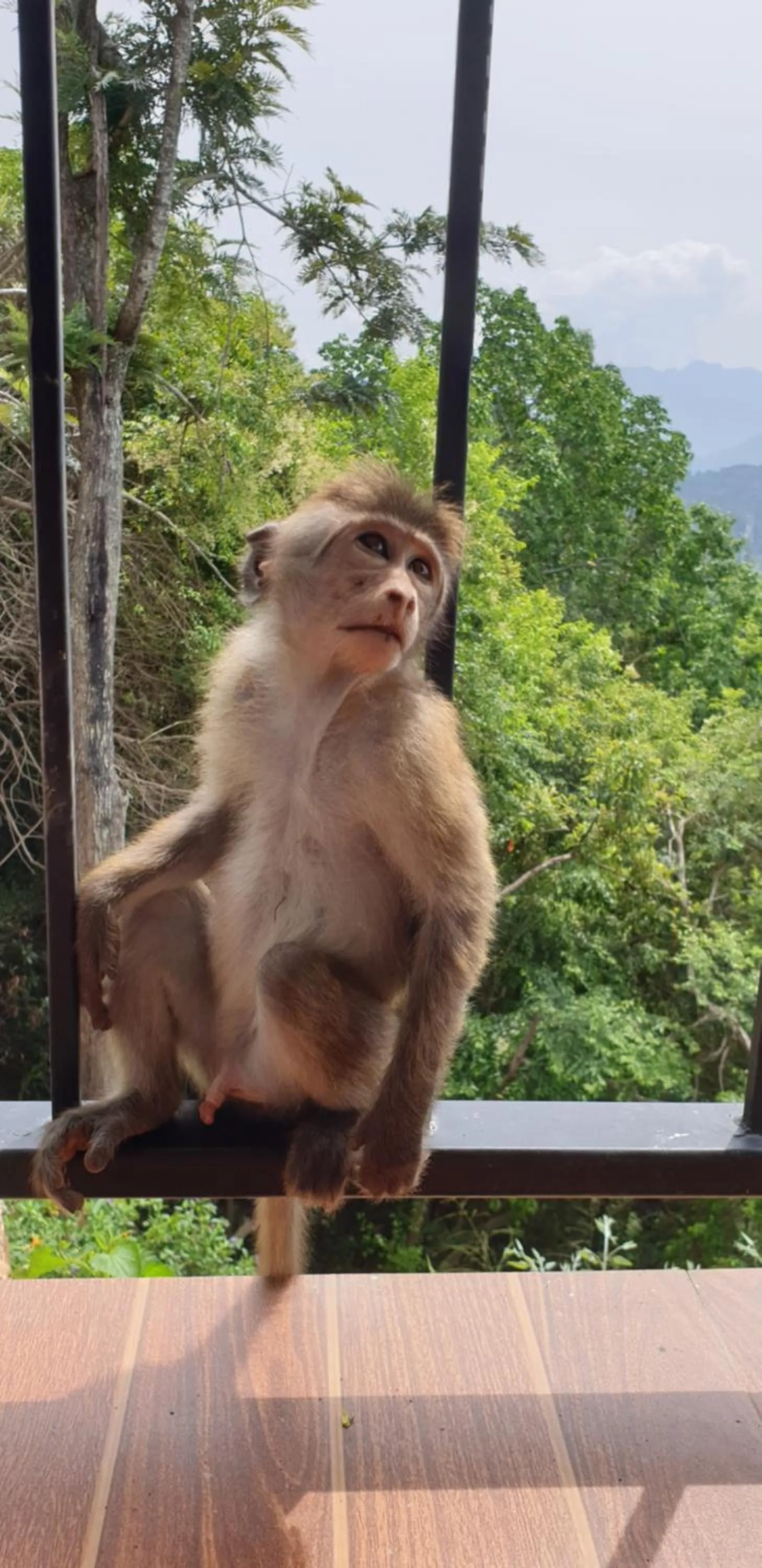 Garden in Glorious Nature Inn