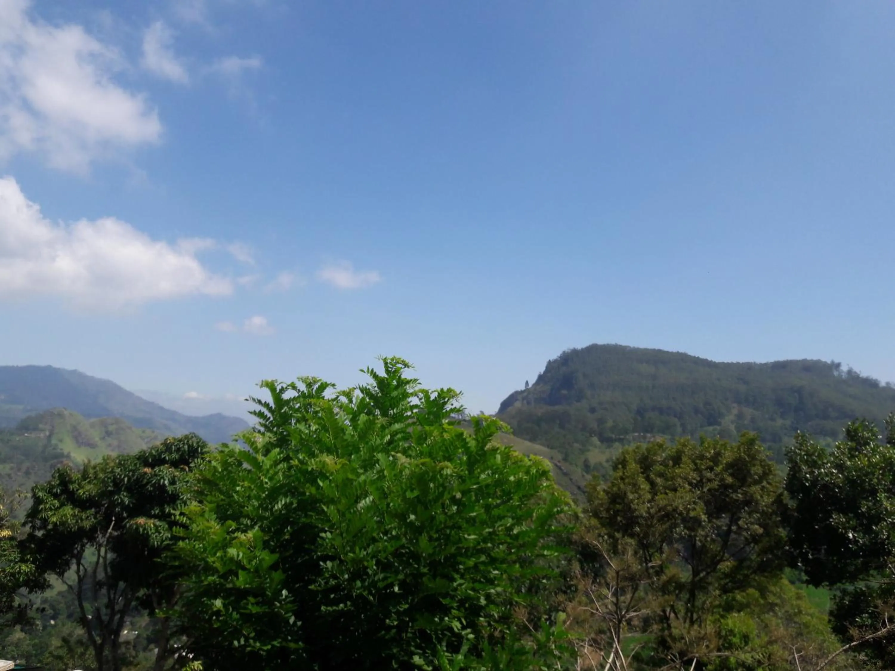 Balcony/Terrace in Glorious Nature Inn