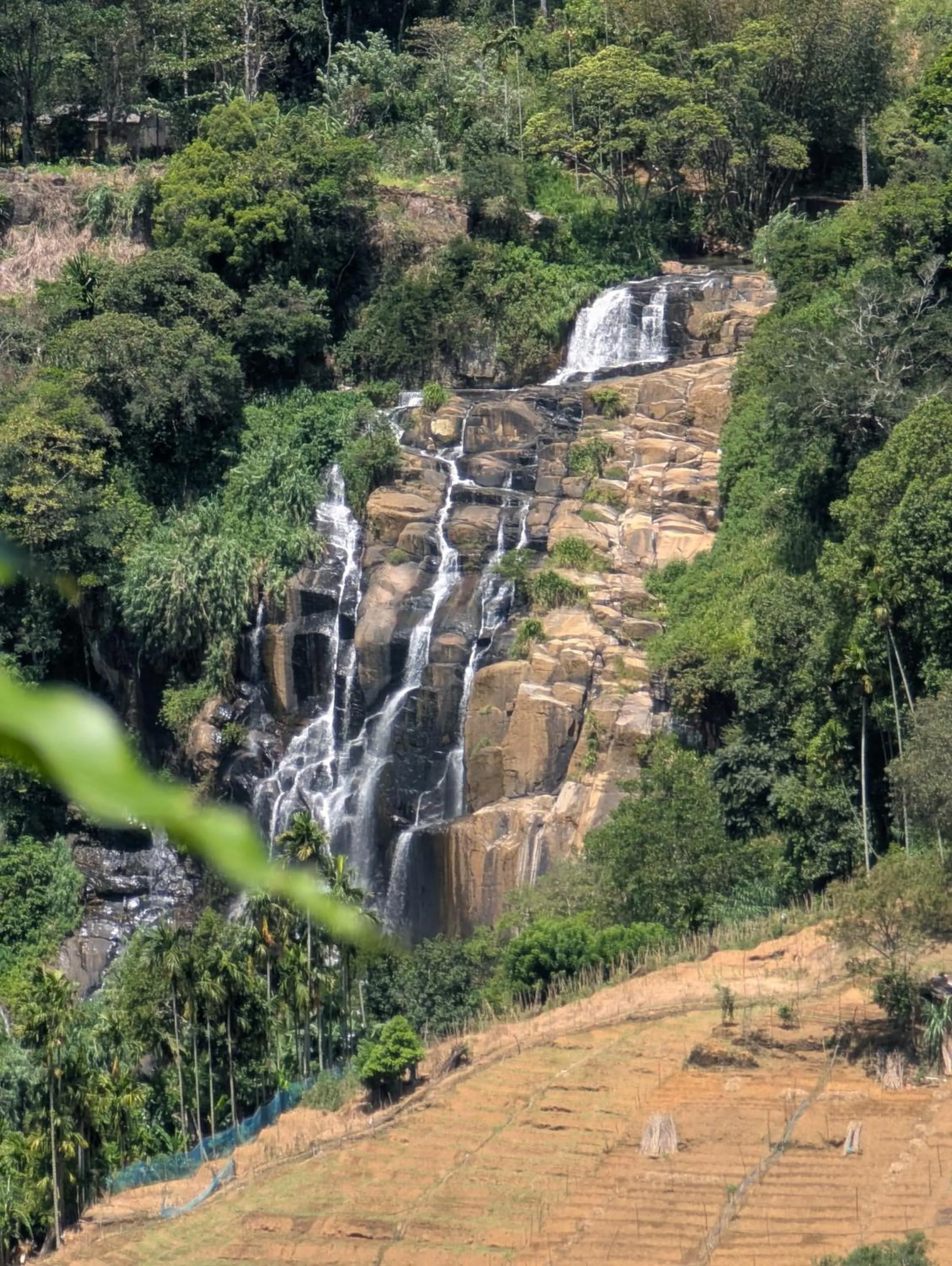 Natural landscape in Glorious Nature Inn