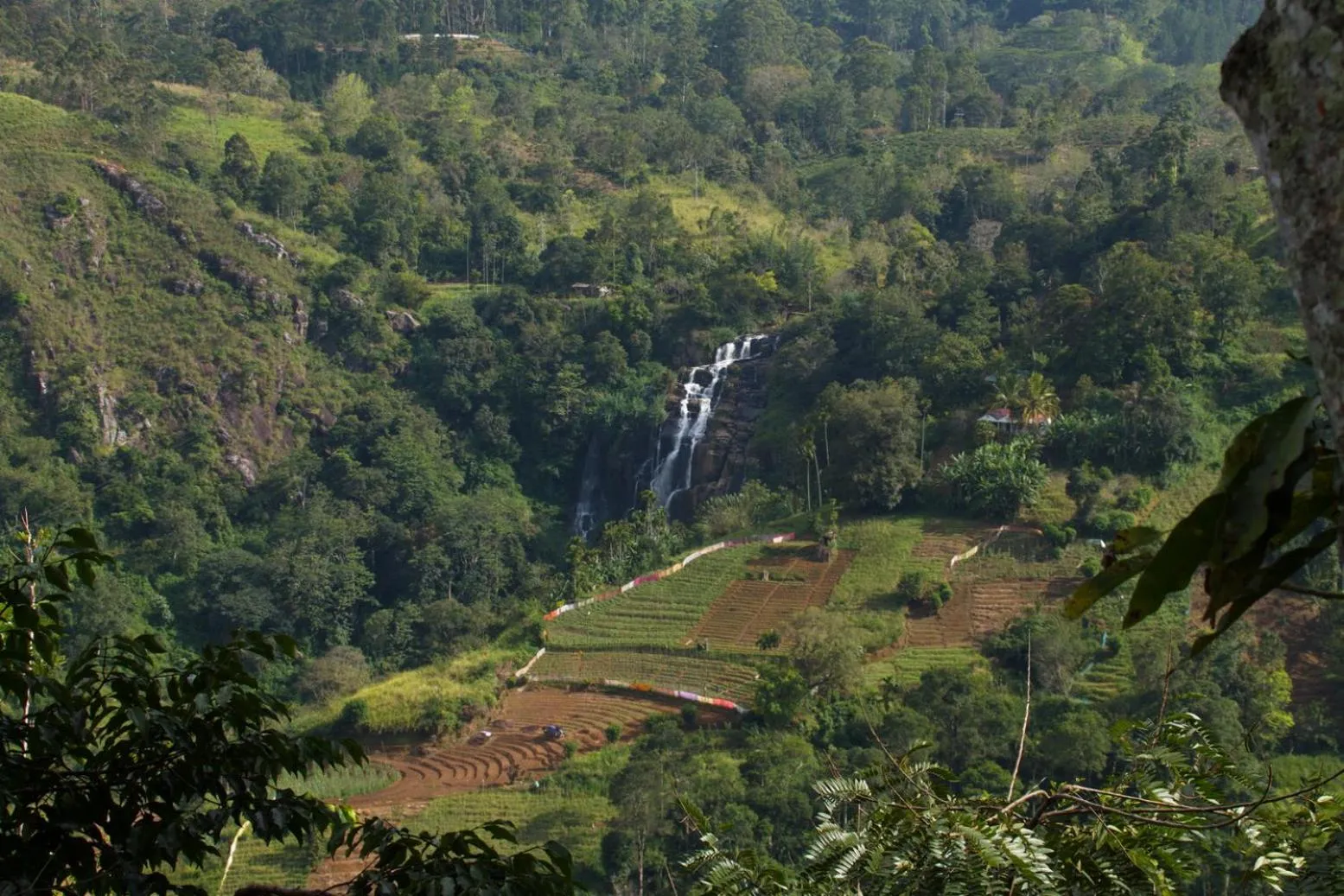 Natural landscape in Glorious Nature Inn