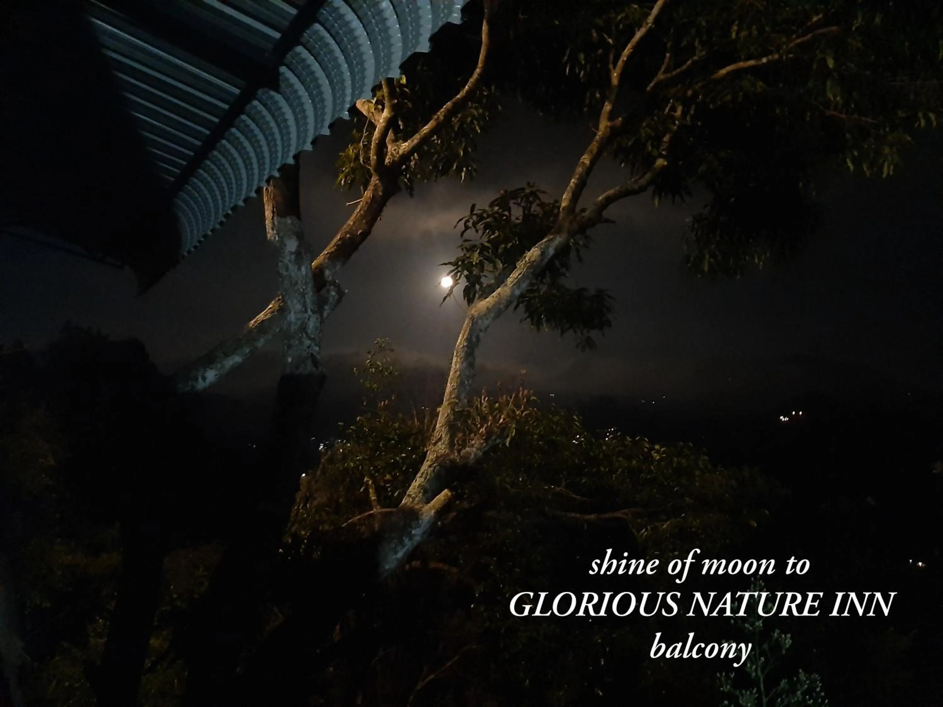 Night in Glorious Nature Inn