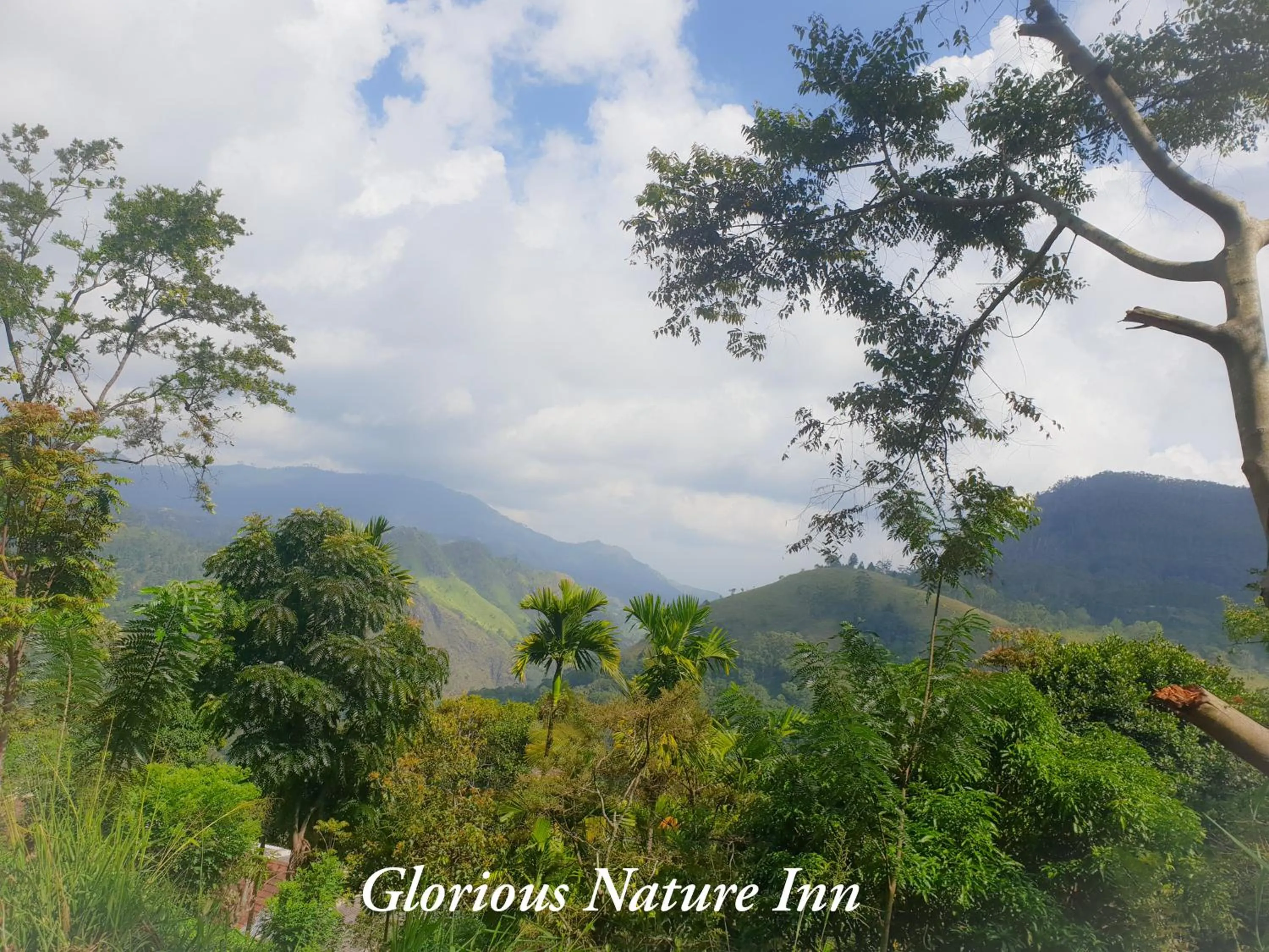 Natural landscape in Glorious Nature Inn