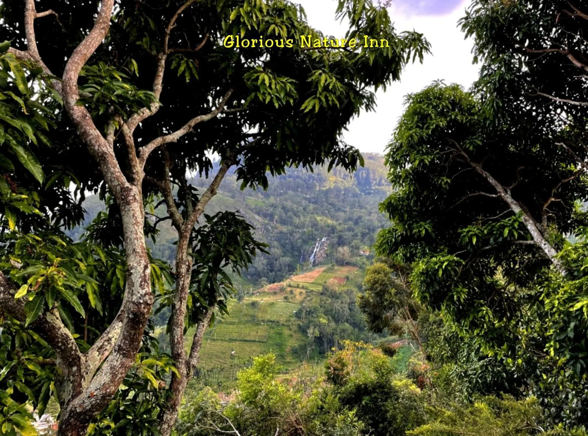 Natural landscape in Glorious Nature Inn