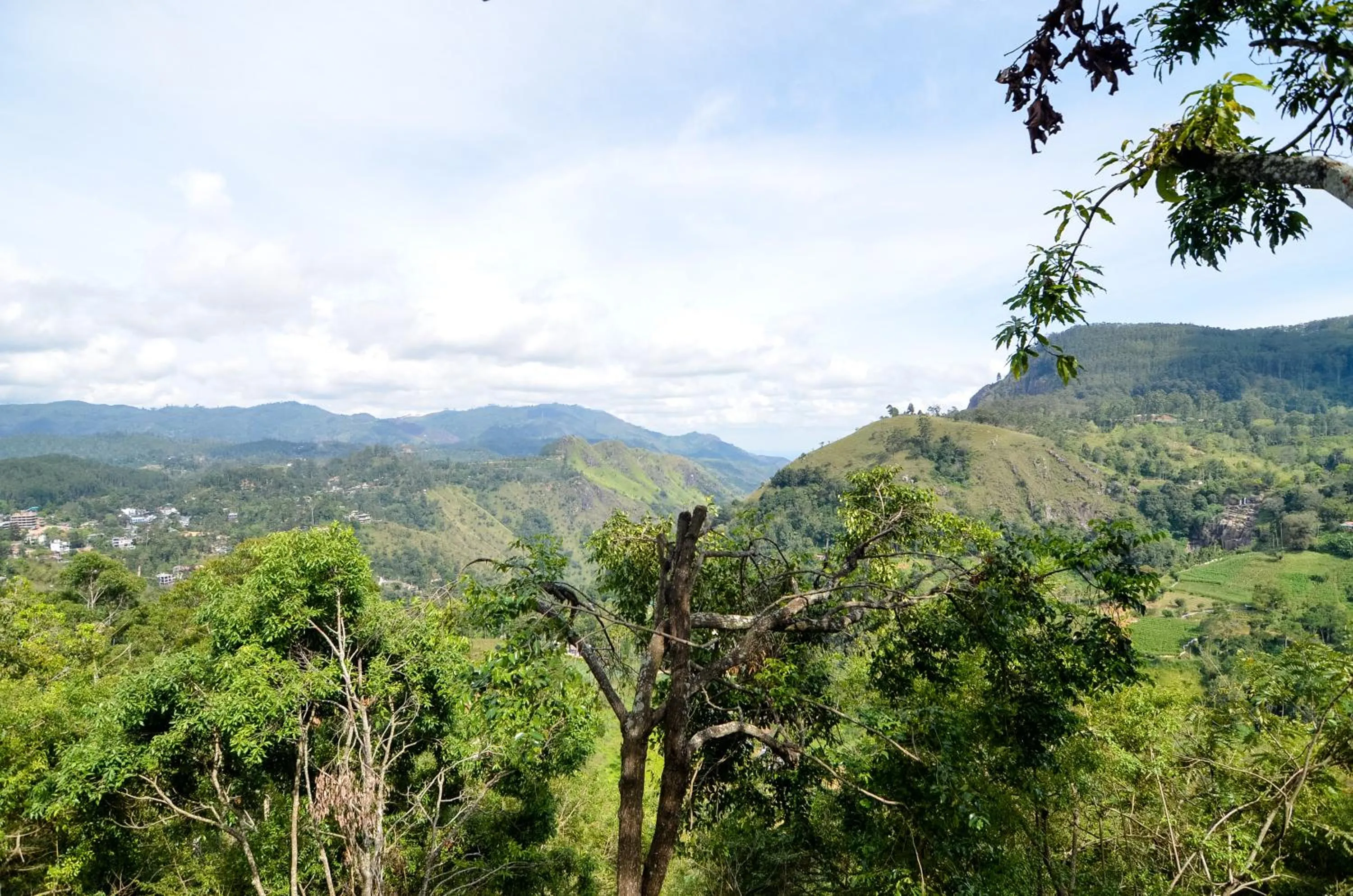 Activities in Glorious Nature Inn