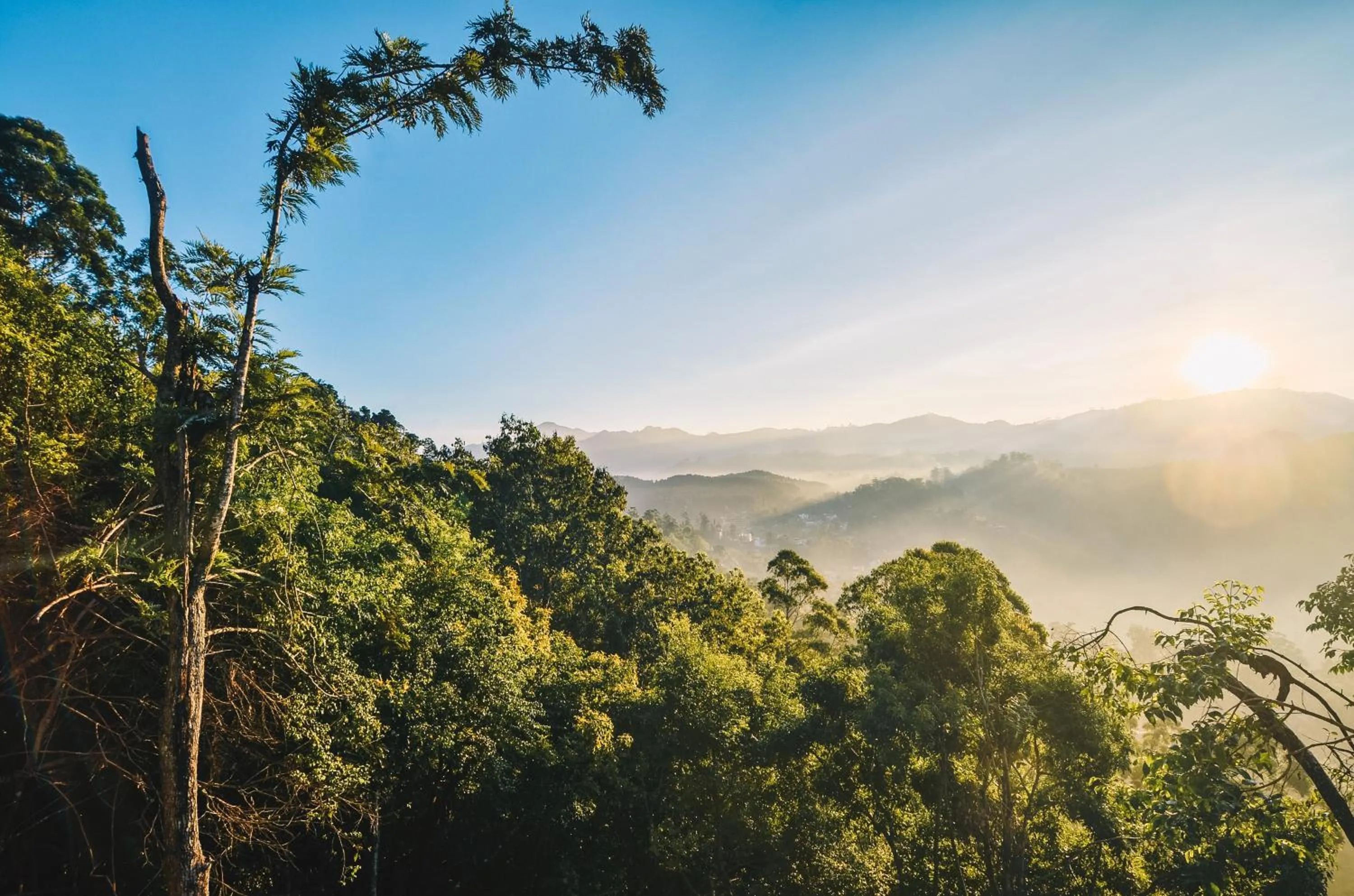 Day in Glorious Nature Inn