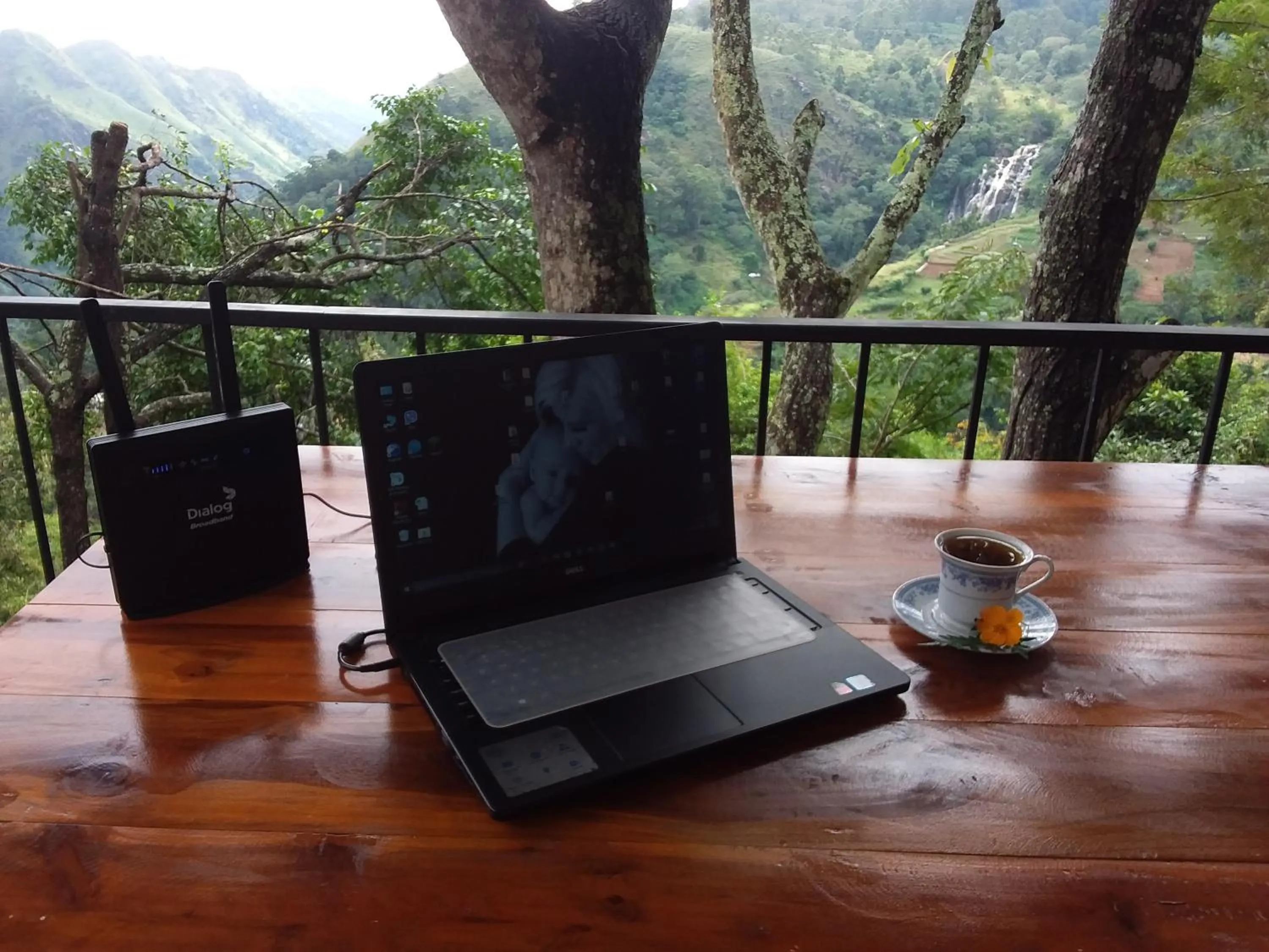 Balcony/Terrace in Glorious Nature Inn