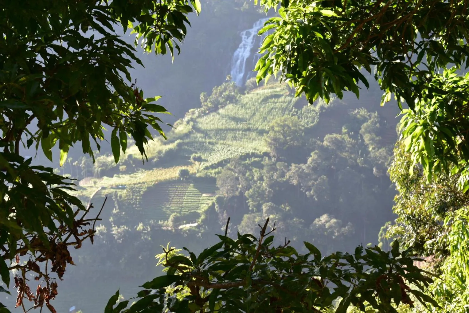 Natural landscape in Glorious Nature Inn