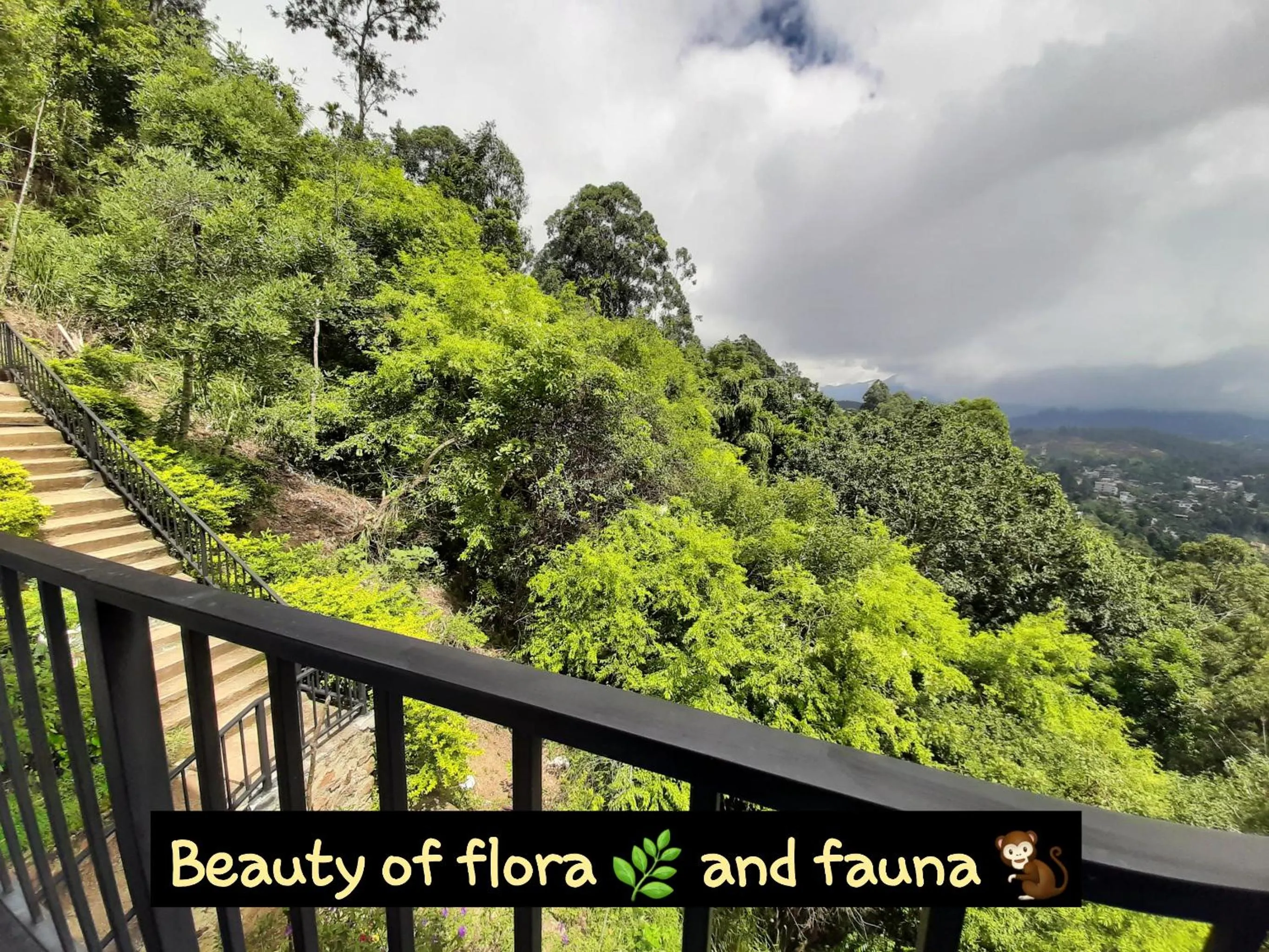 Balcony/Terrace in Glorious Nature Inn