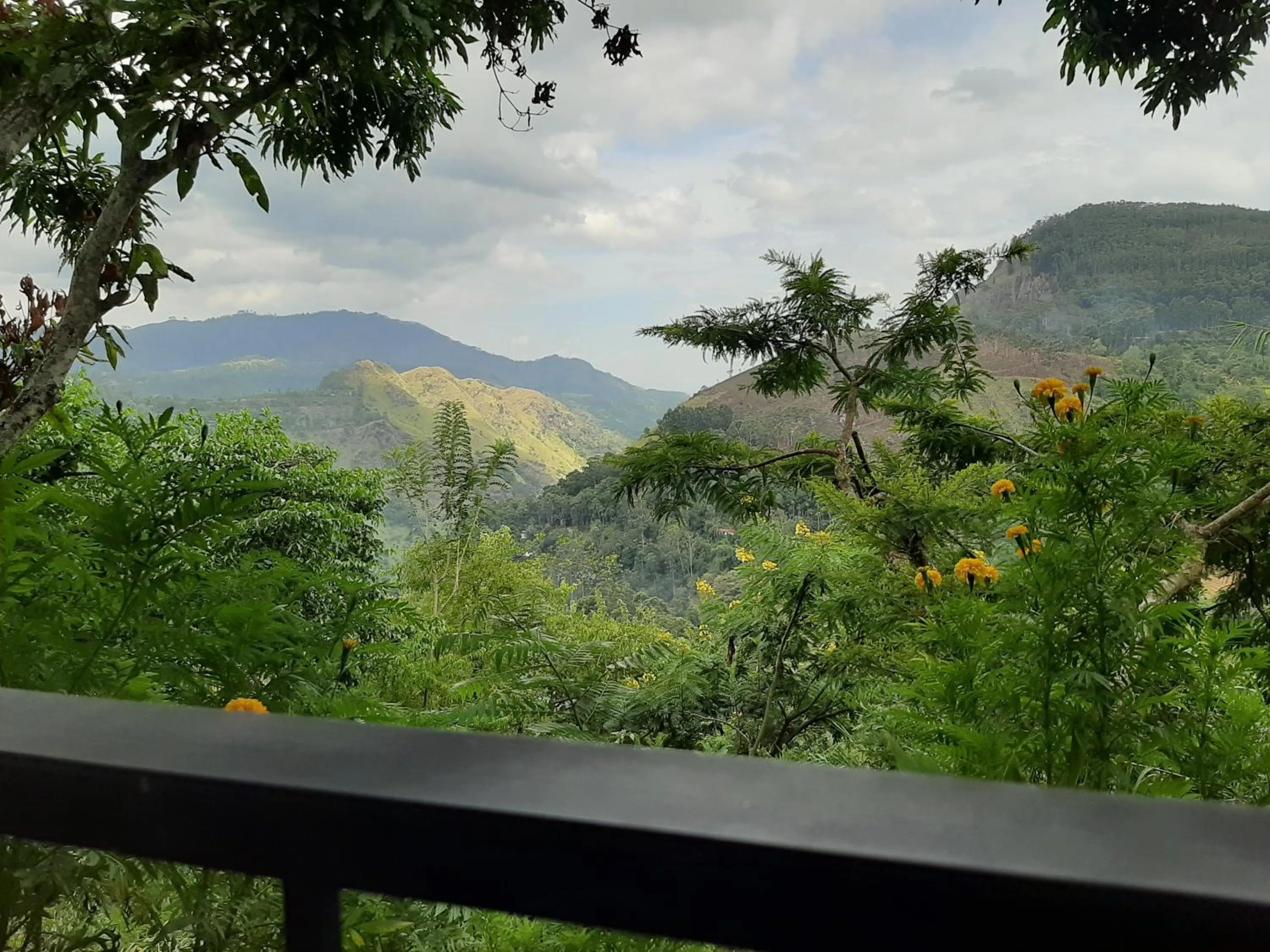 Garden view in Glorious Nature Inn
