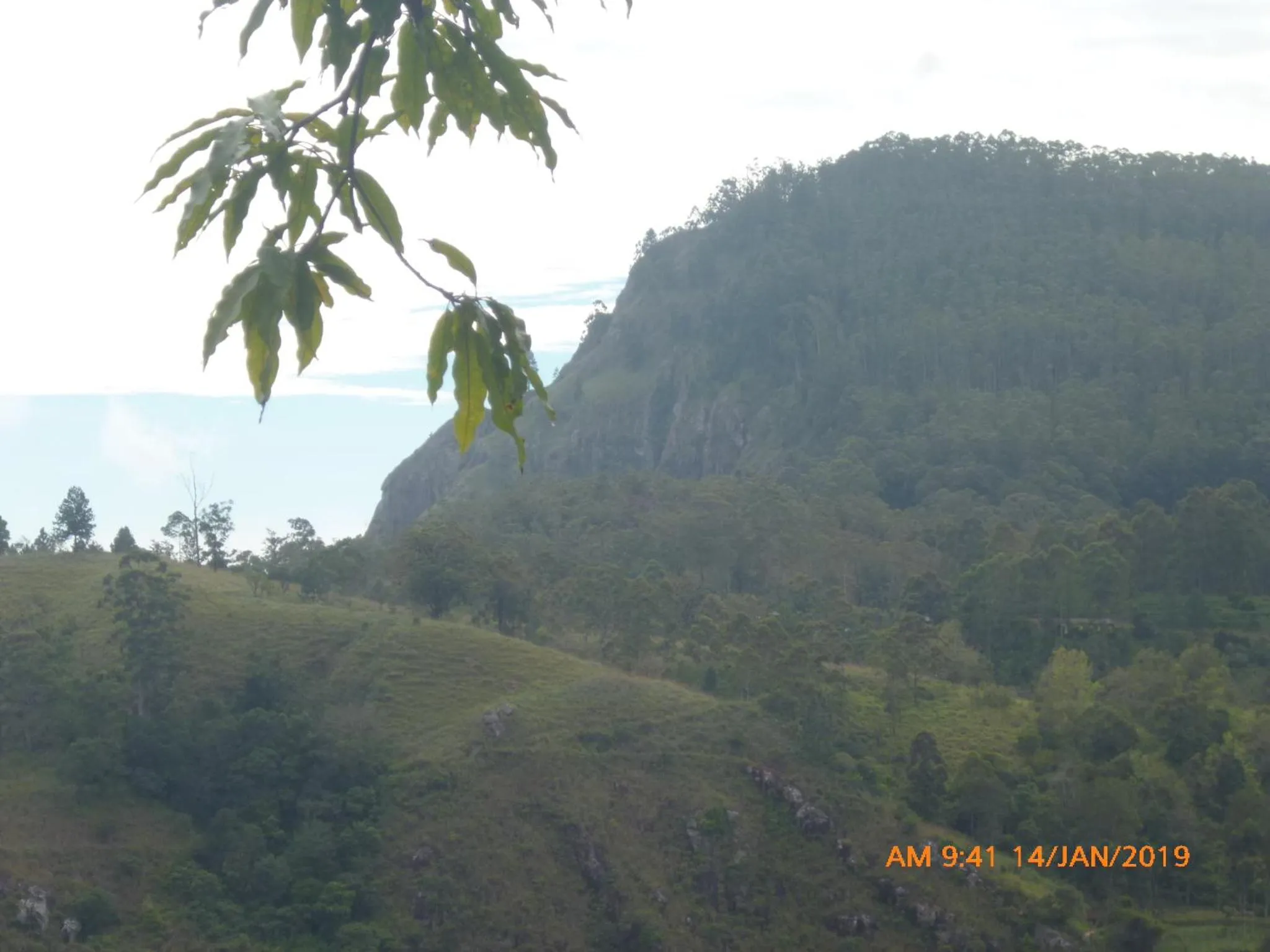 Patio in Glorious Nature Inn