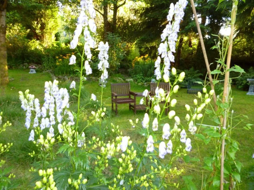 Garden in Kettle House B&B