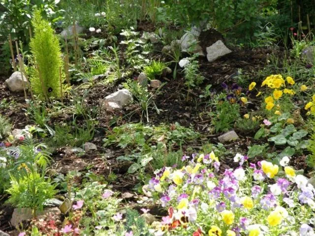 Garden in Kettle House B&B