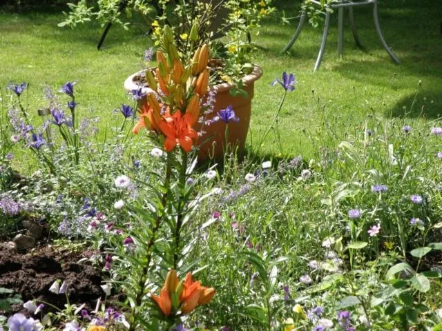 Garden in Kettle House B&B