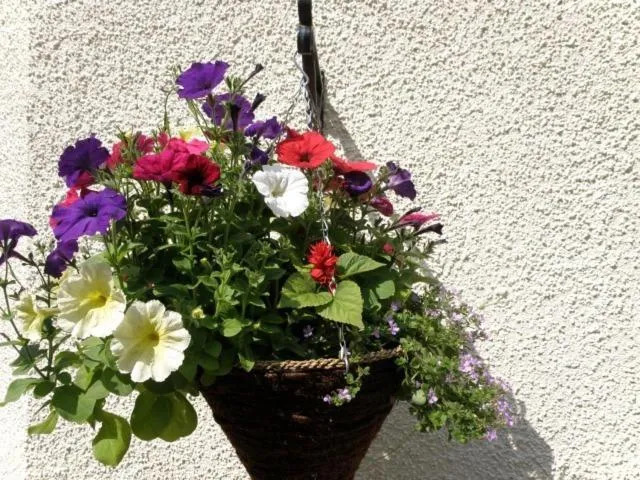 Decorative detail in Kettle House B&B