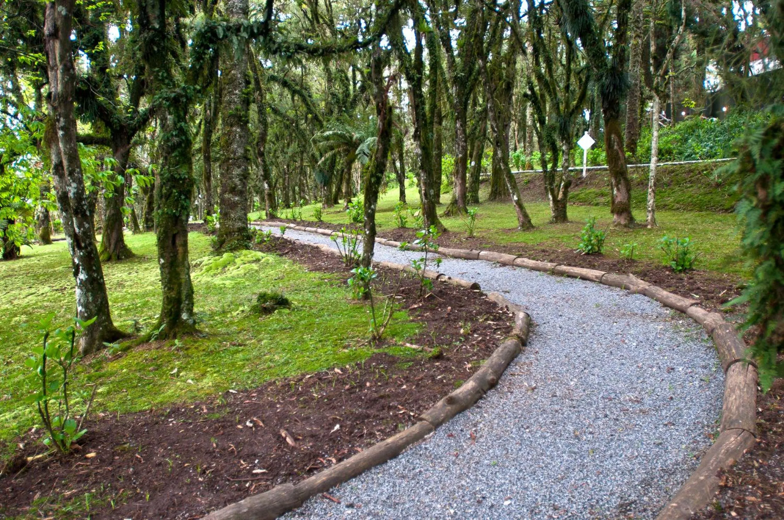 Natural landscape in Tri Hotel