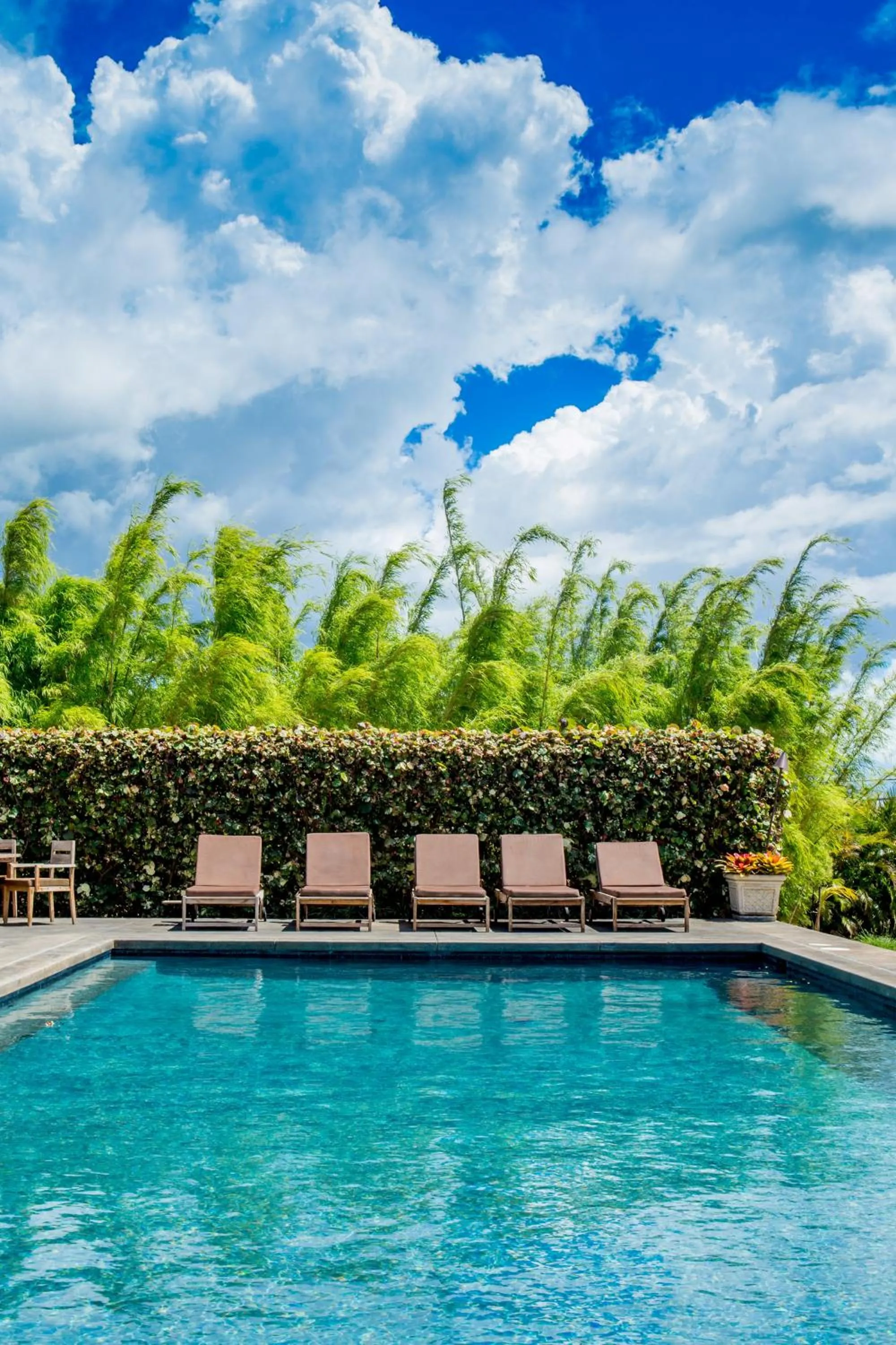 Pool view in Lumeria Maui, Educational Retreat Center